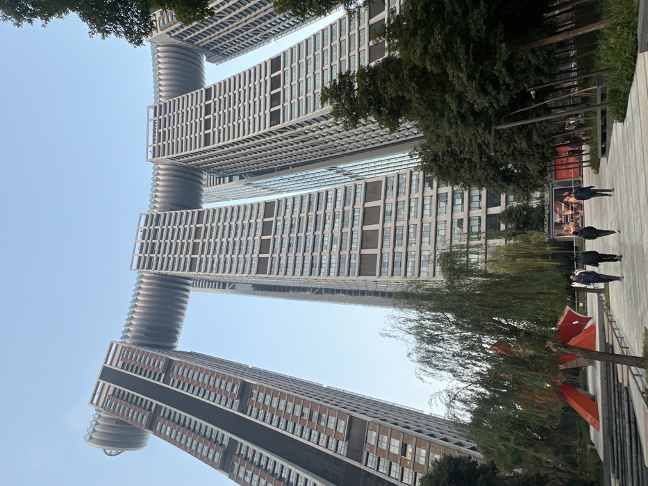 Tourists photograph at Chongqing landmarks during morning hours