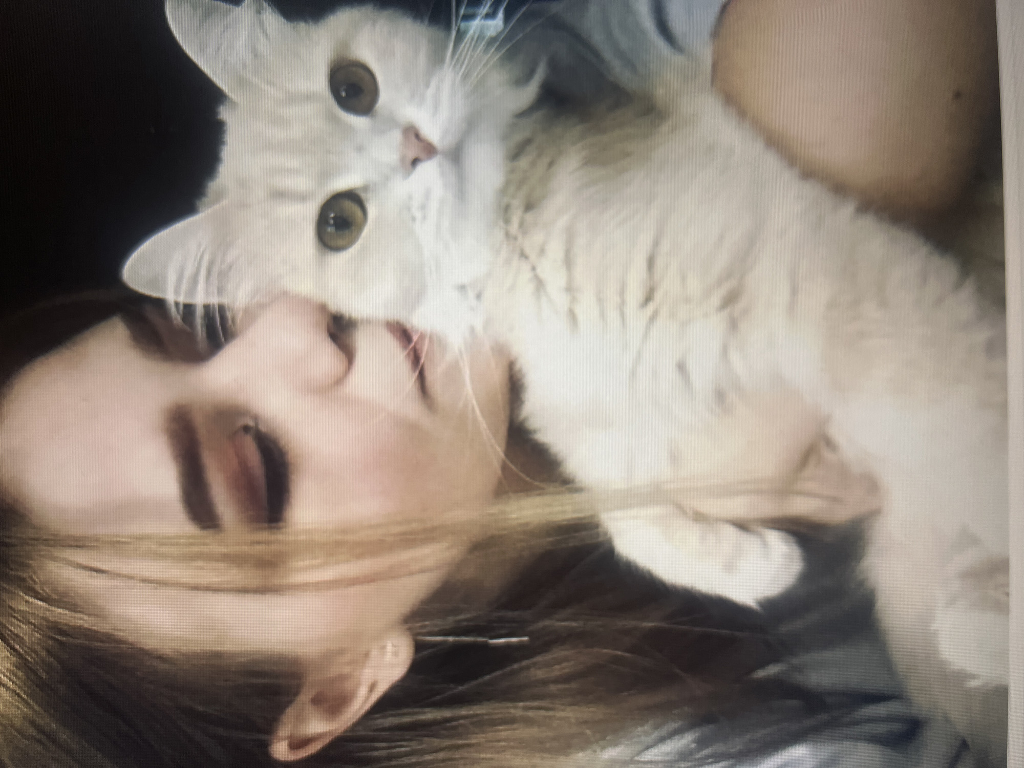 Casual portrait series with a cat, Karaganda