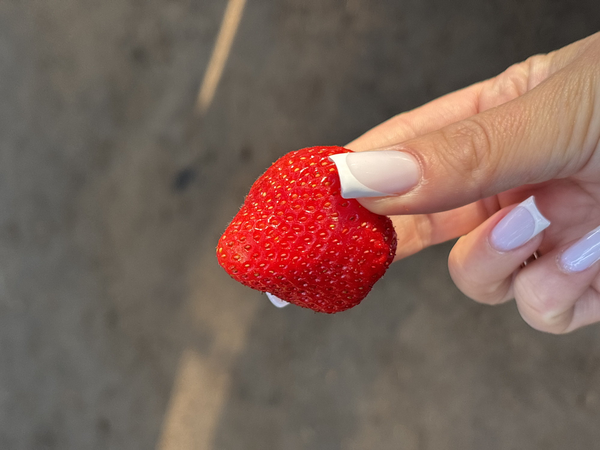 Hand holding fresh strawberry in Votkinsk