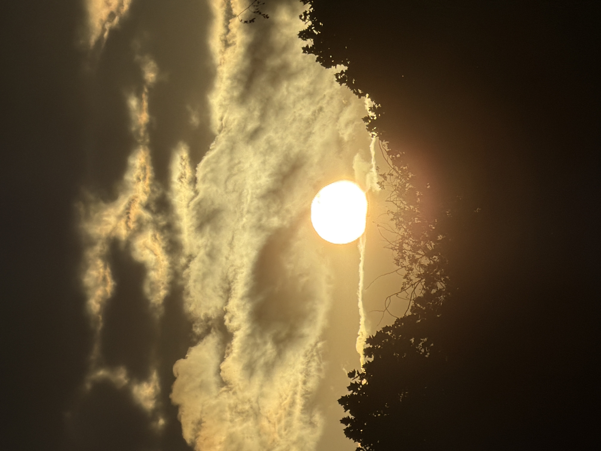 Golden sunset over silhouetted trees in Esch-sur-Alzette