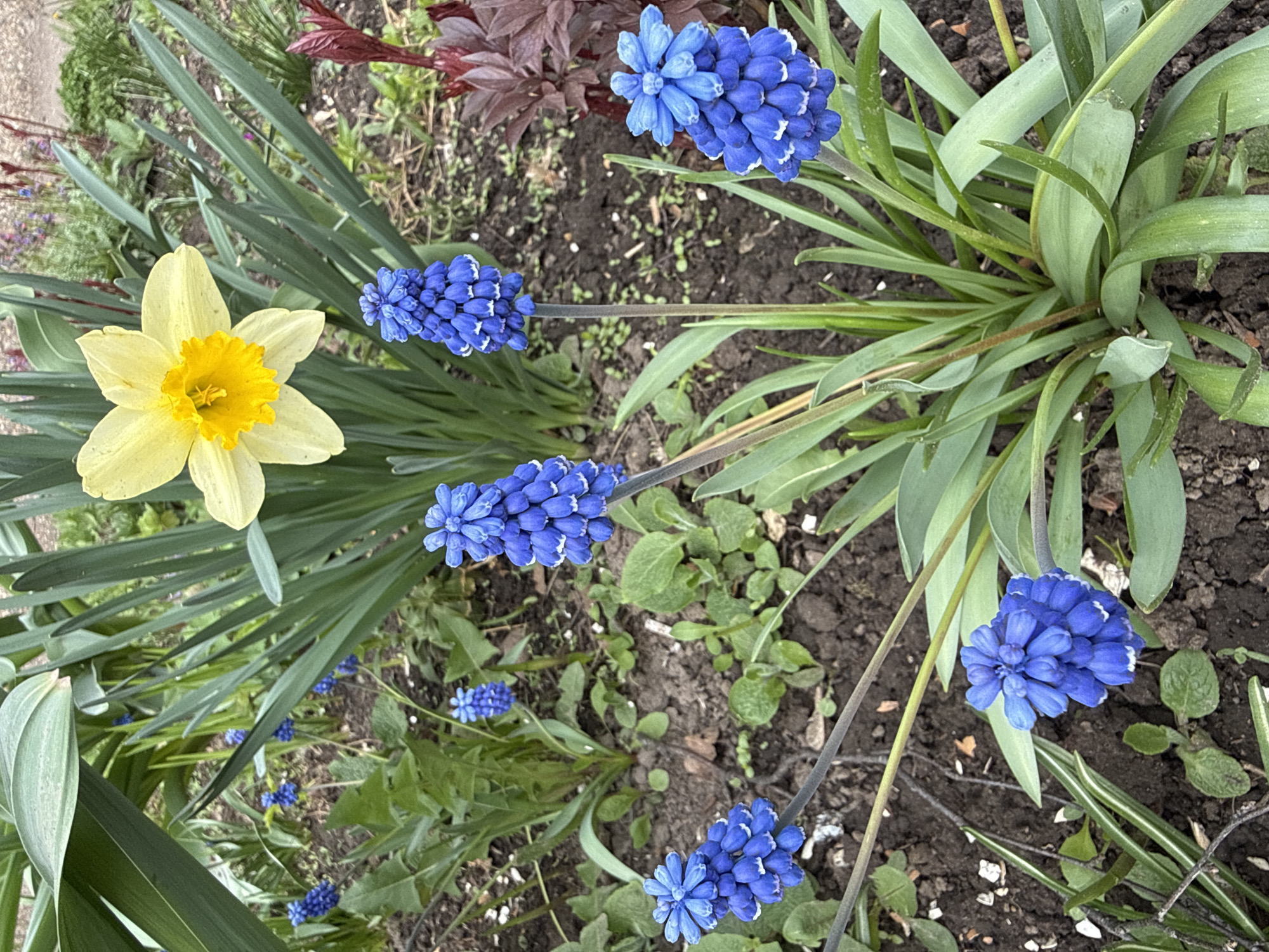 Spring day captured through personal moments in Rusanovo, Russia