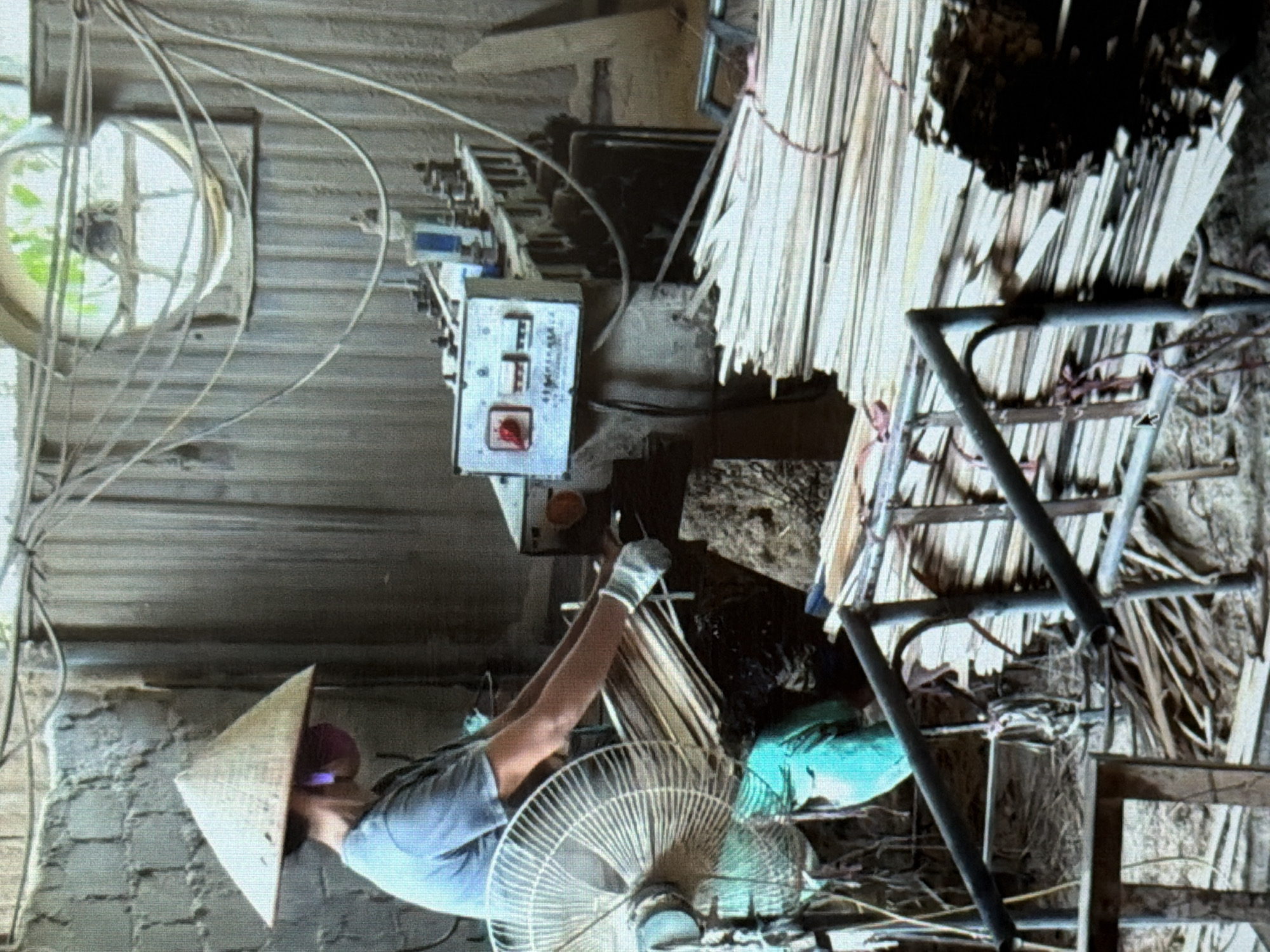 Morning snapshots capture diverse cultural and work scenes in Đà Nẵng