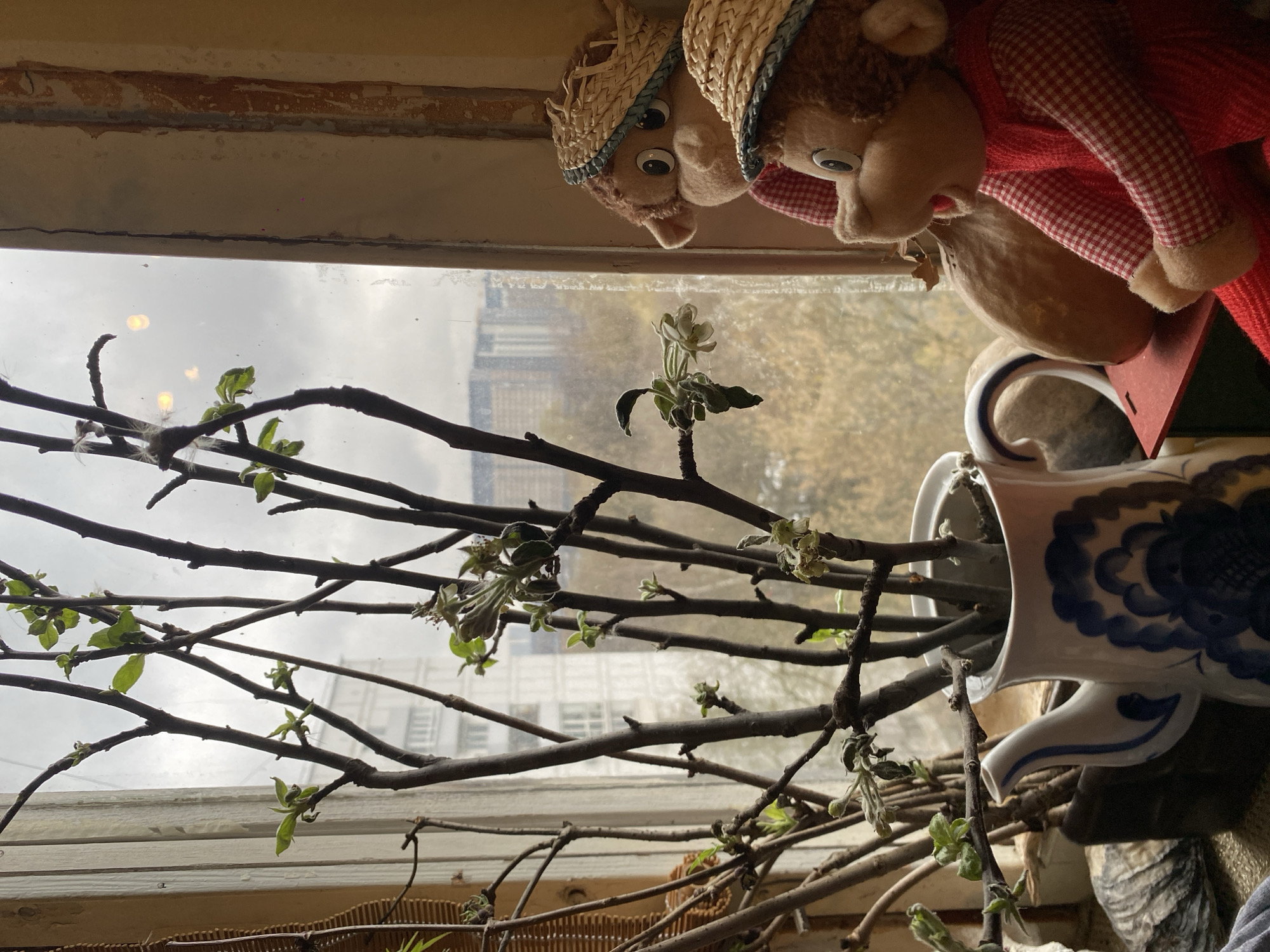 Moscow resident captures spring flowers and toys in apartment