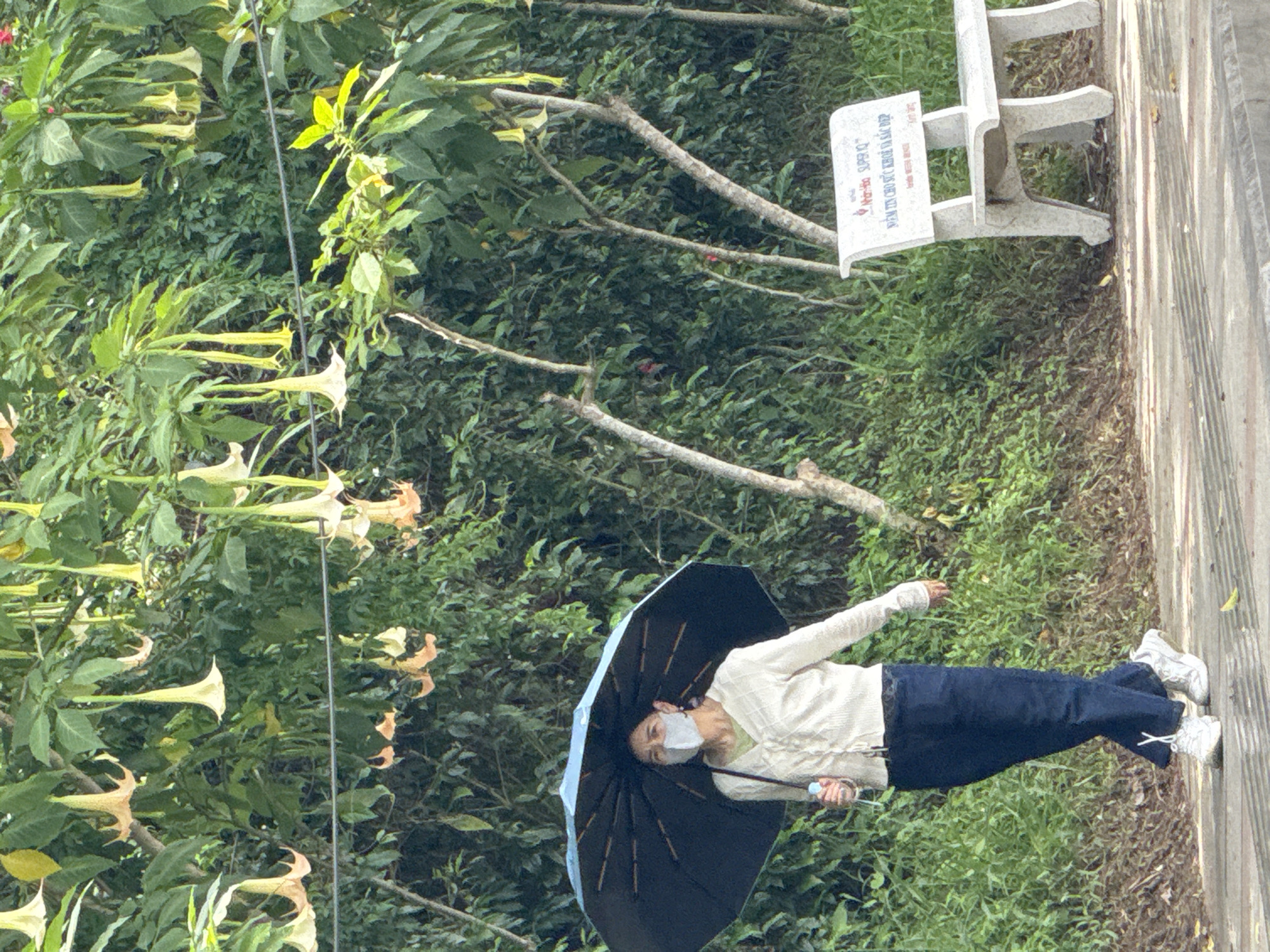 Morning life along Xuan Huong Lake in Da Lat