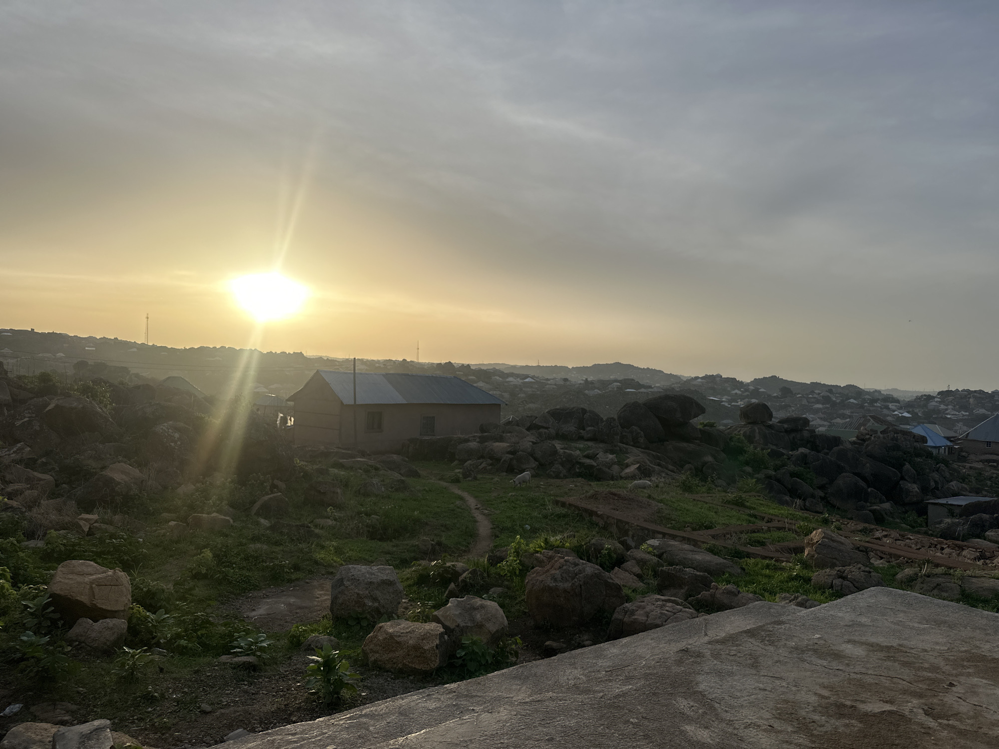 Witness documents Jos landscapes and tabby cat encounters
