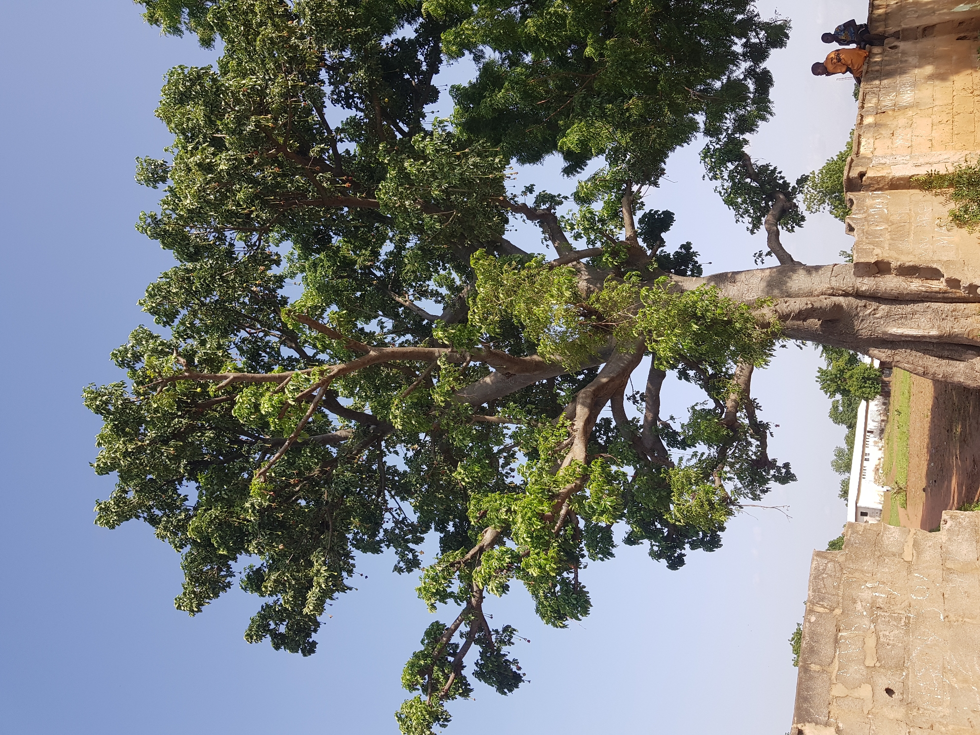 School grounds and surroundings in Jimeta, Nigeria, midday