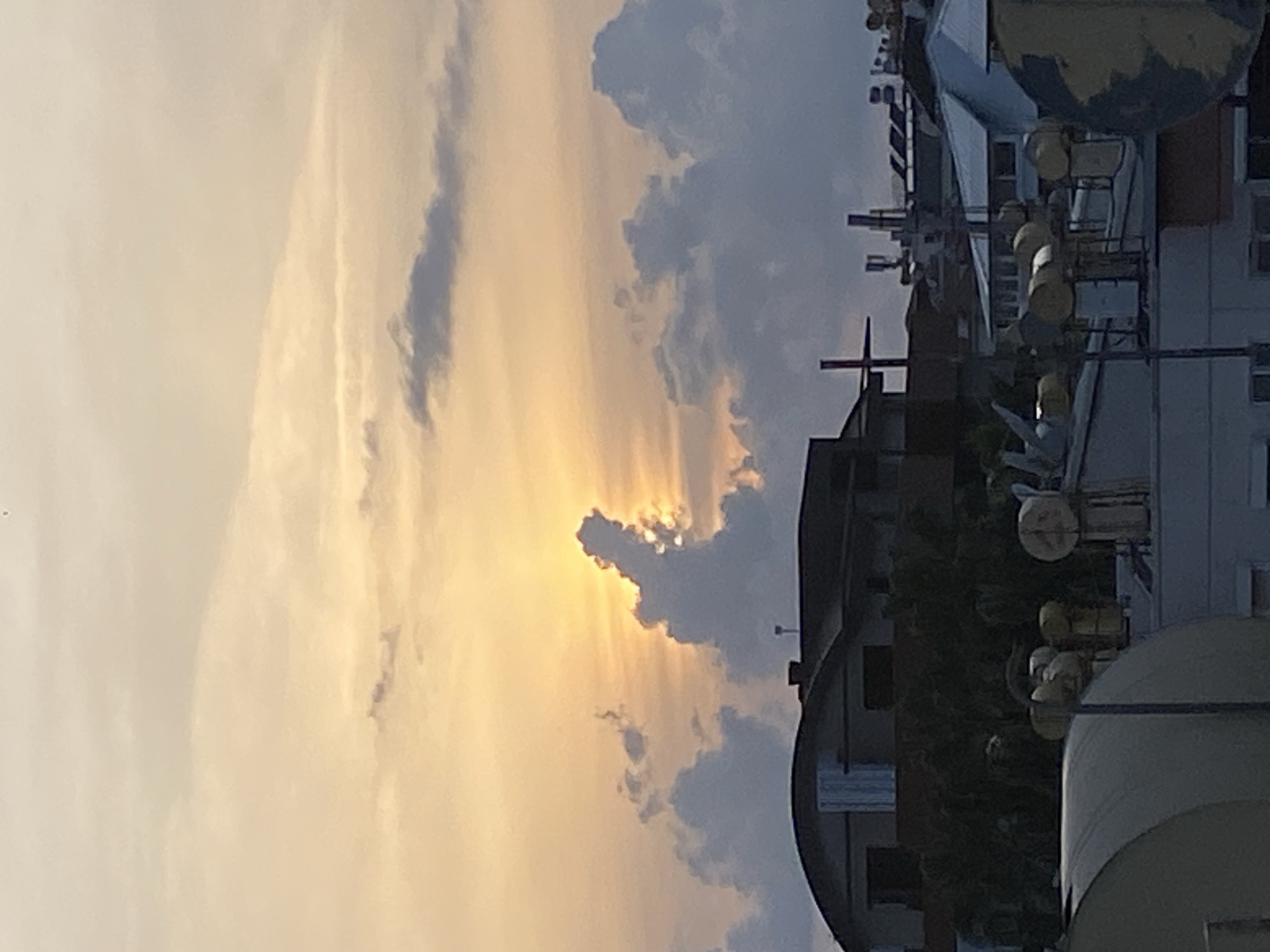 Casual moments with cats, flowers documented in Alanya, Turkey