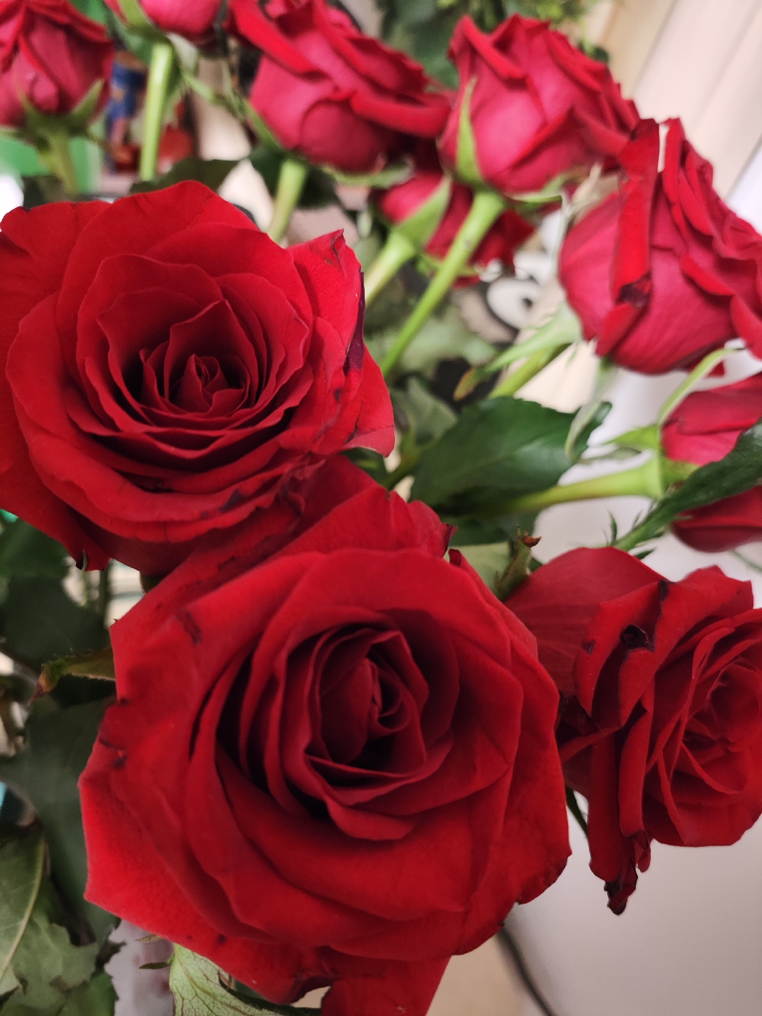 Cake, flowers, and a pug mark a home celebration in Kharkiv