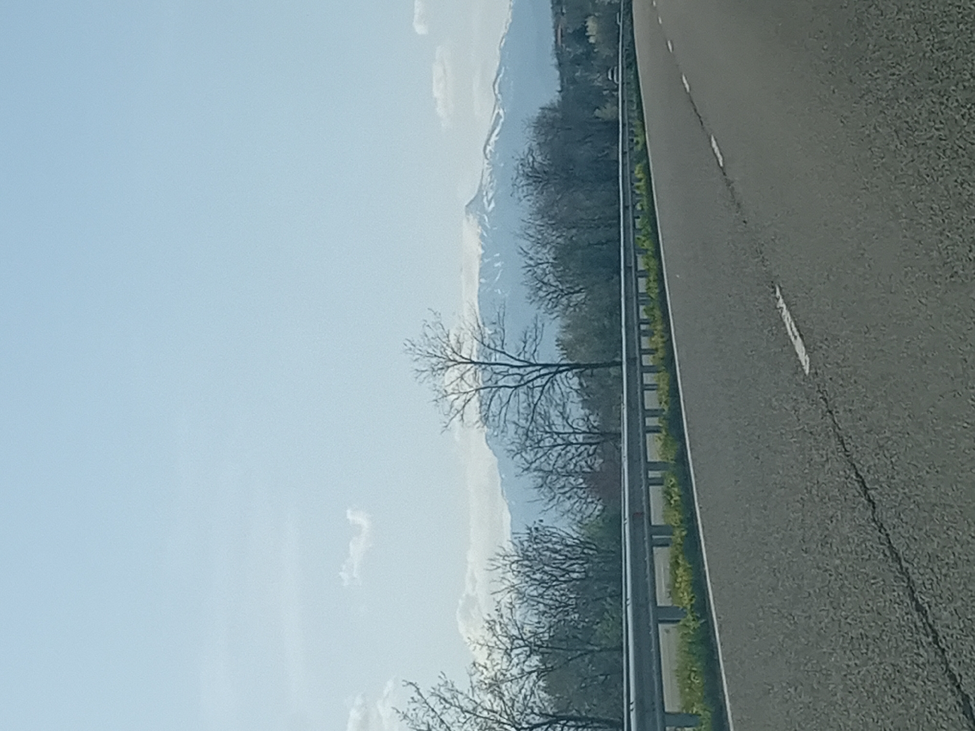 Vehicle journey through wooded roads documented over 98 minutes