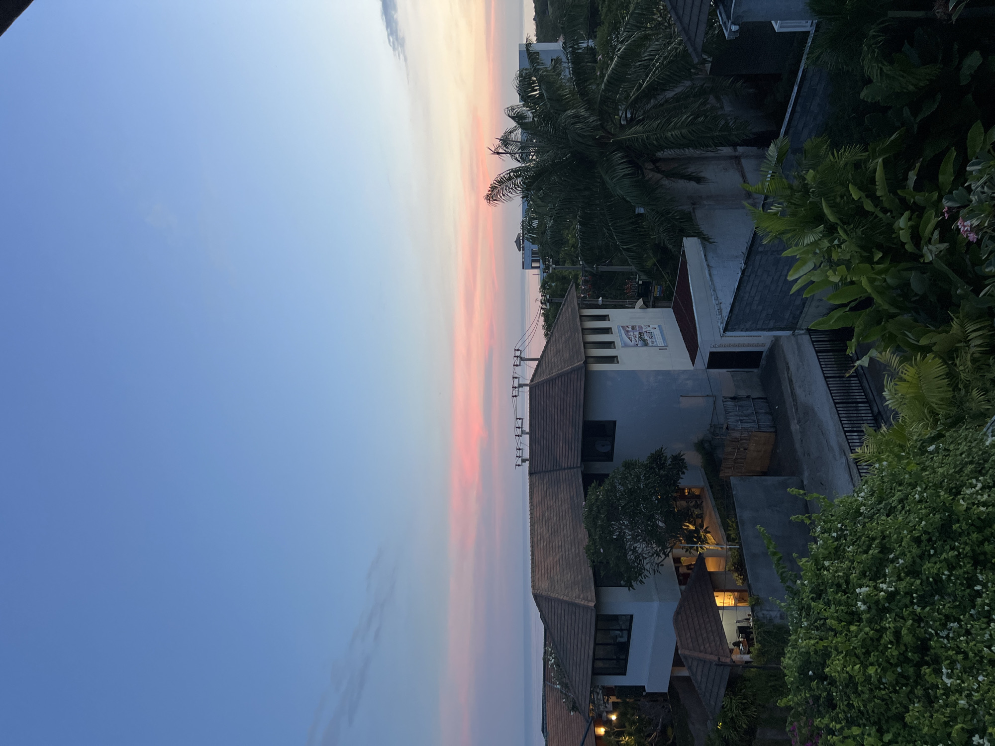 Morning observations capture coastal city life and pet moment