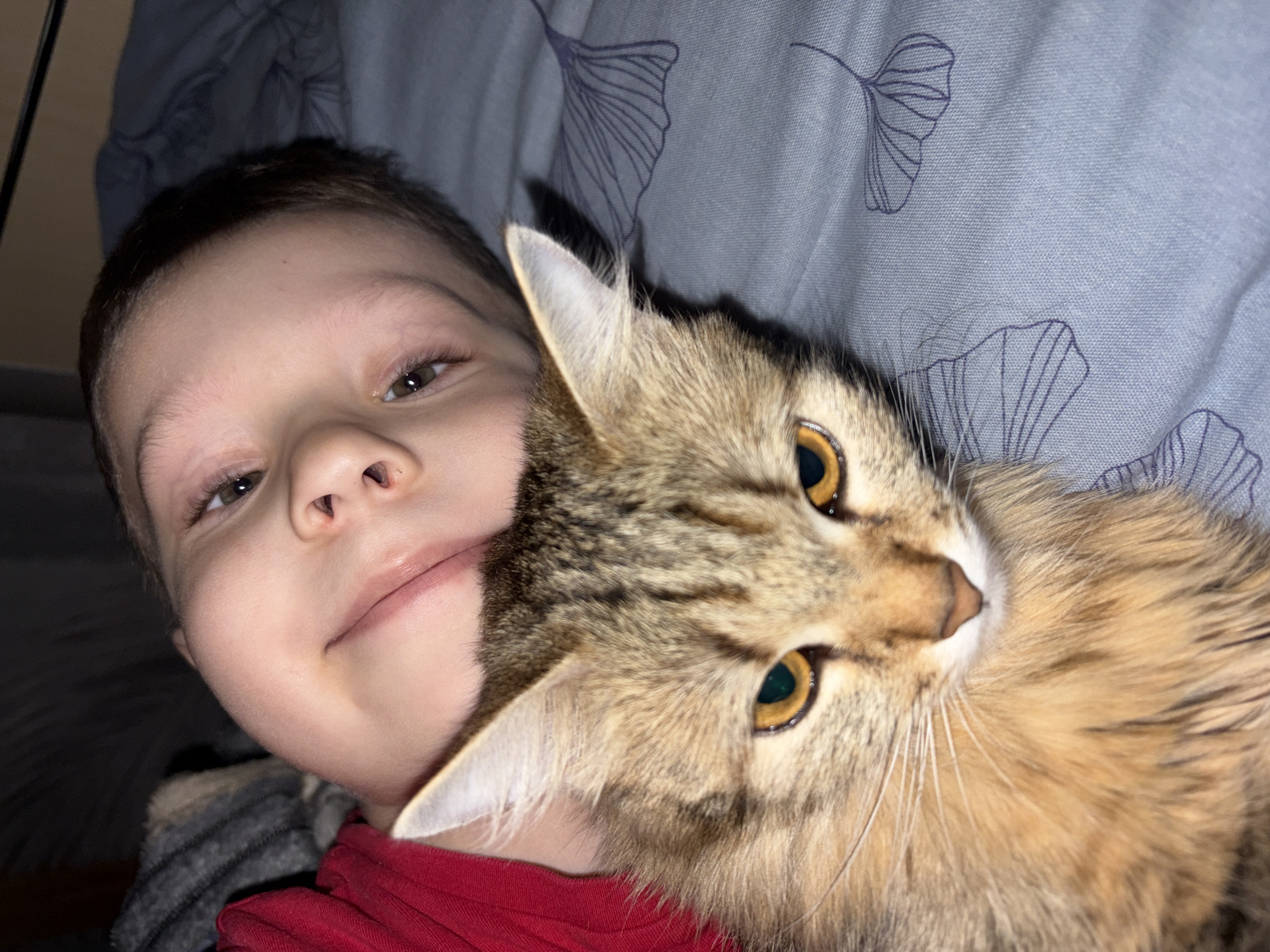 Child cuddles with cat during quiet morning moment