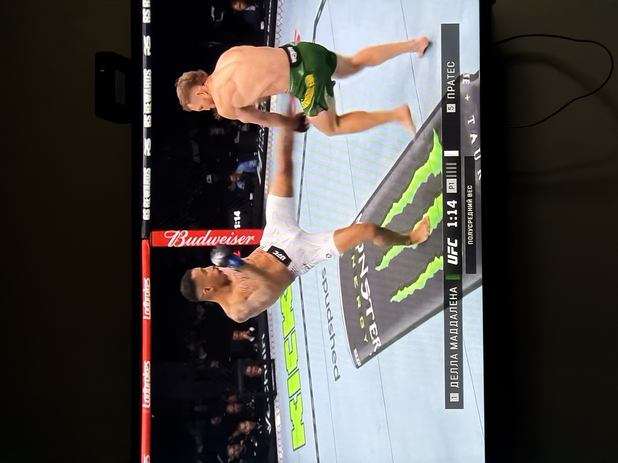 UFC match viewed on television in Ligachevo, Russia