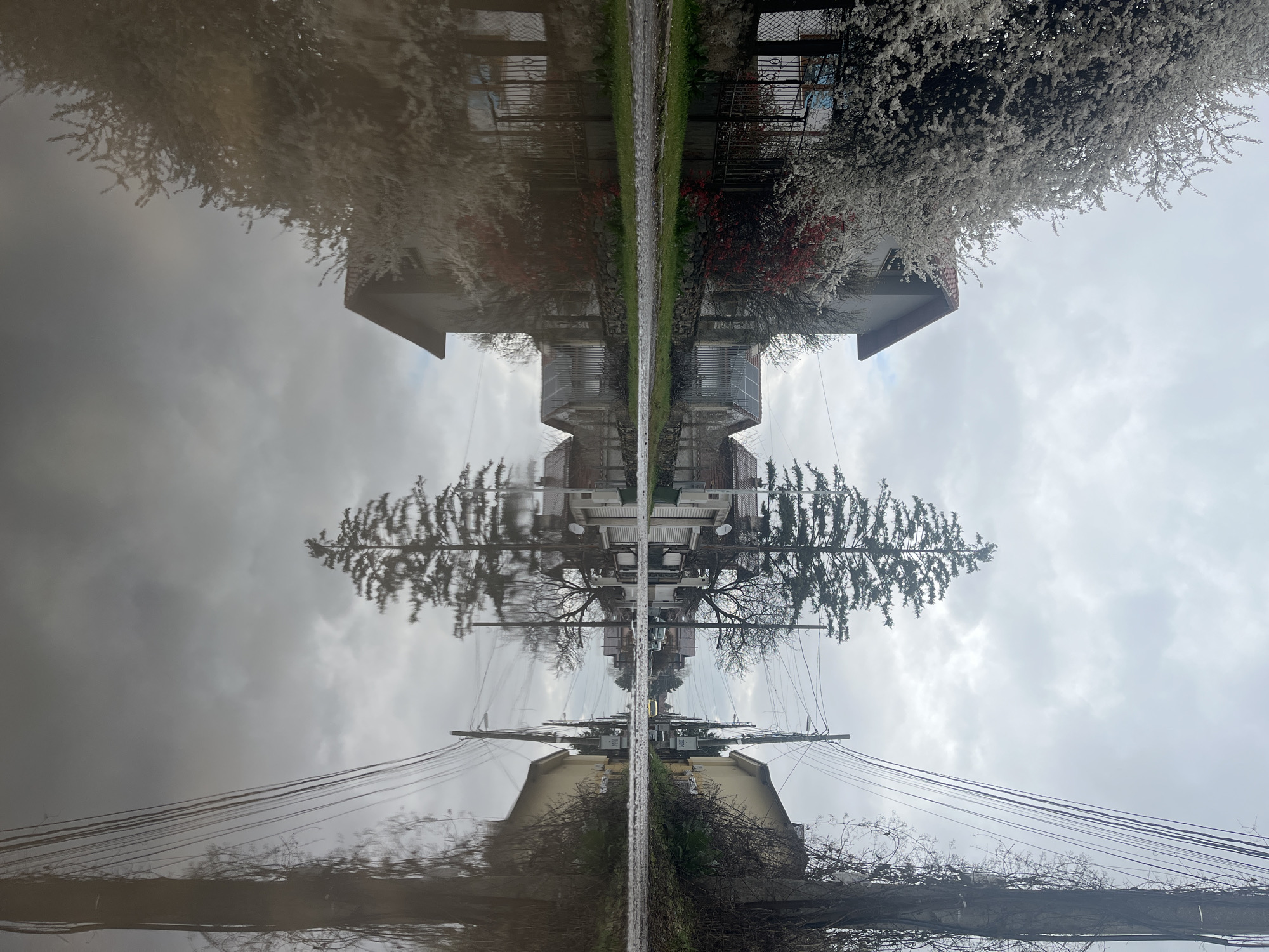 Mirrored reflection scene observed in Sofia, Bulgaria