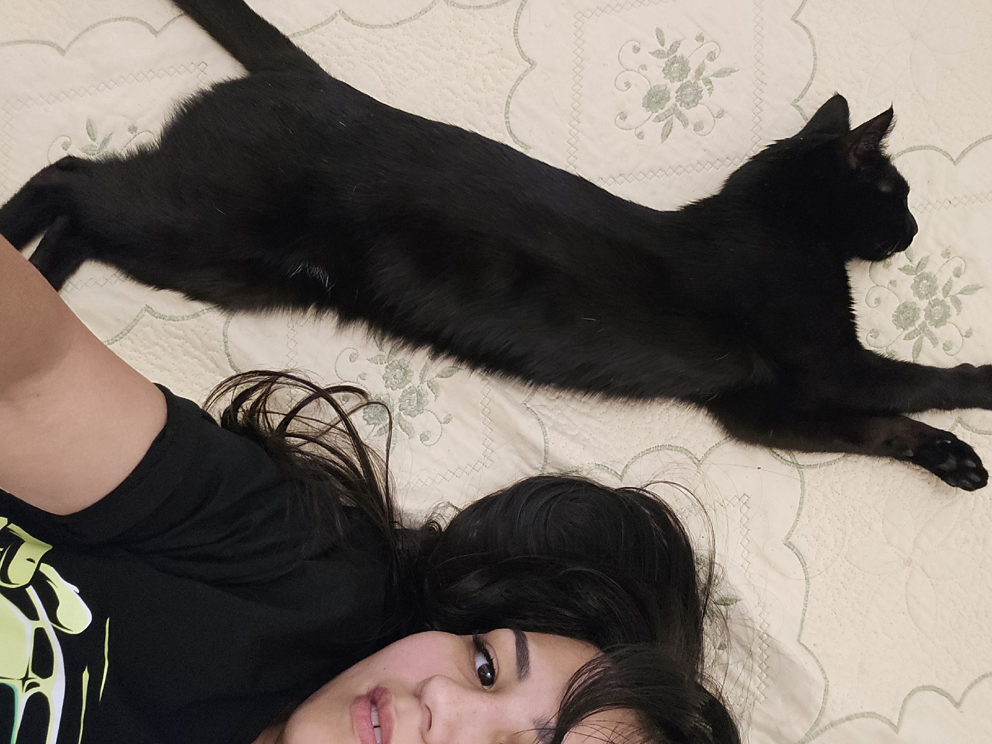 Relaxing on a bed with a black cat in Dushanbe