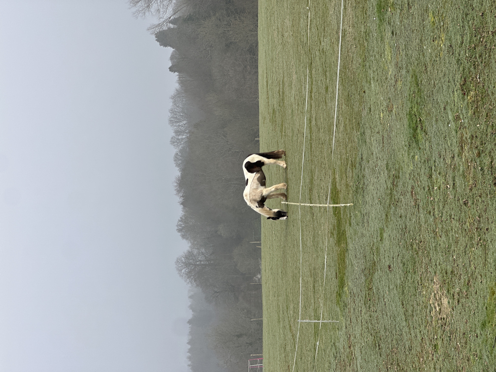 Quiet morning moments captured around Tunbridge Wells countryside