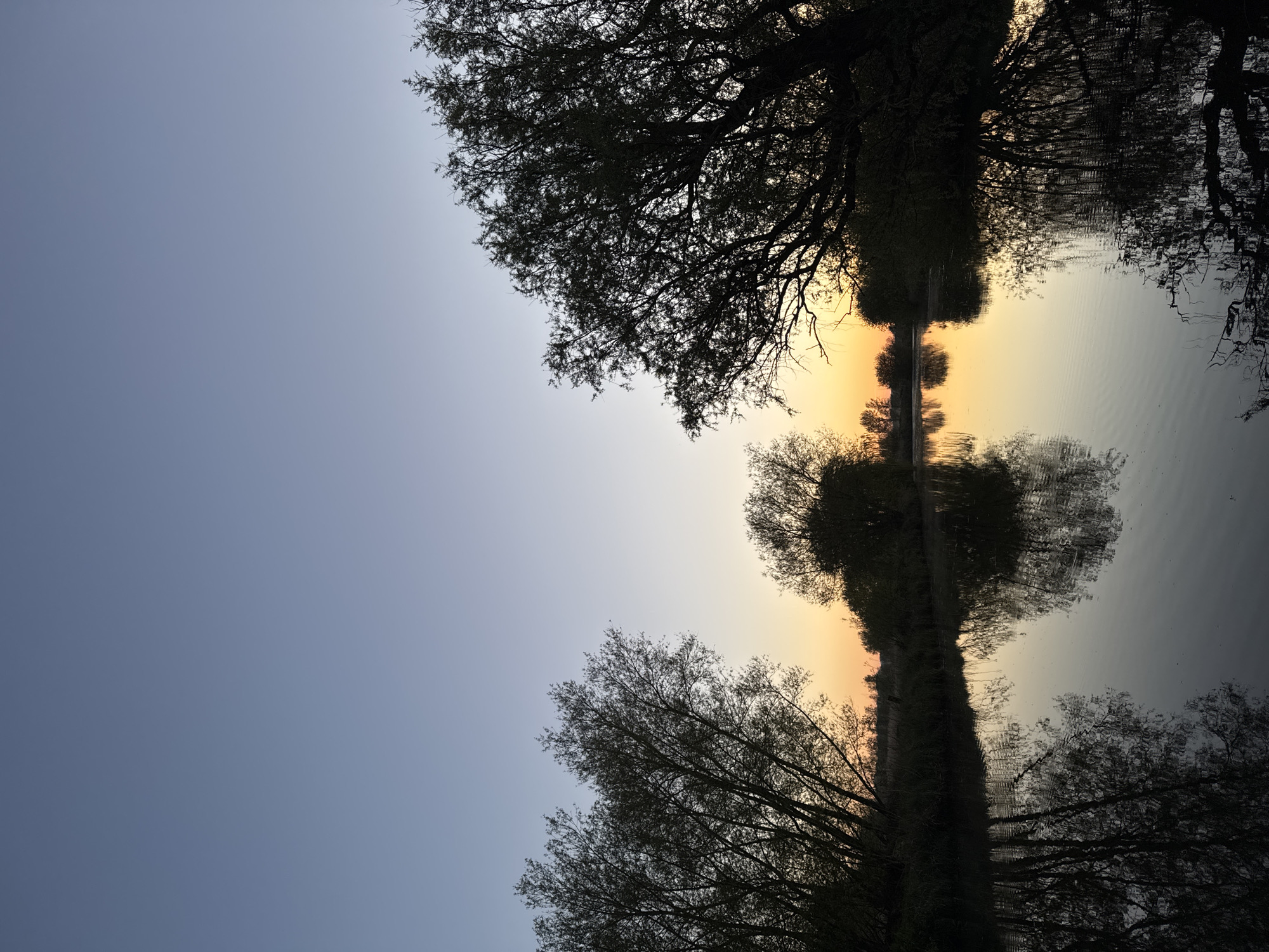 Peaceful waterside evening documented in South Norfolk countryside