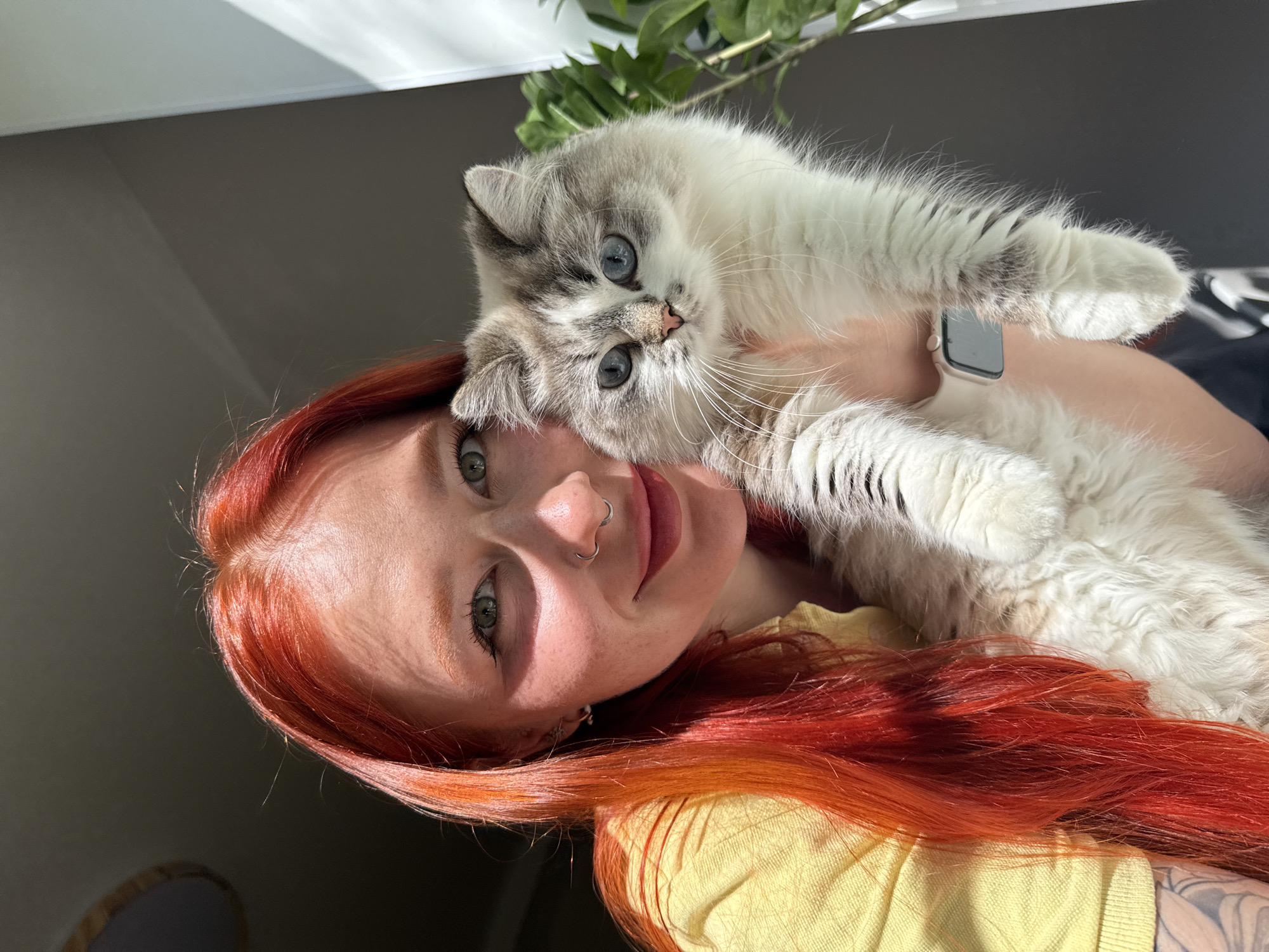 Woman with cats documented in morning Rostov-on-Don residence