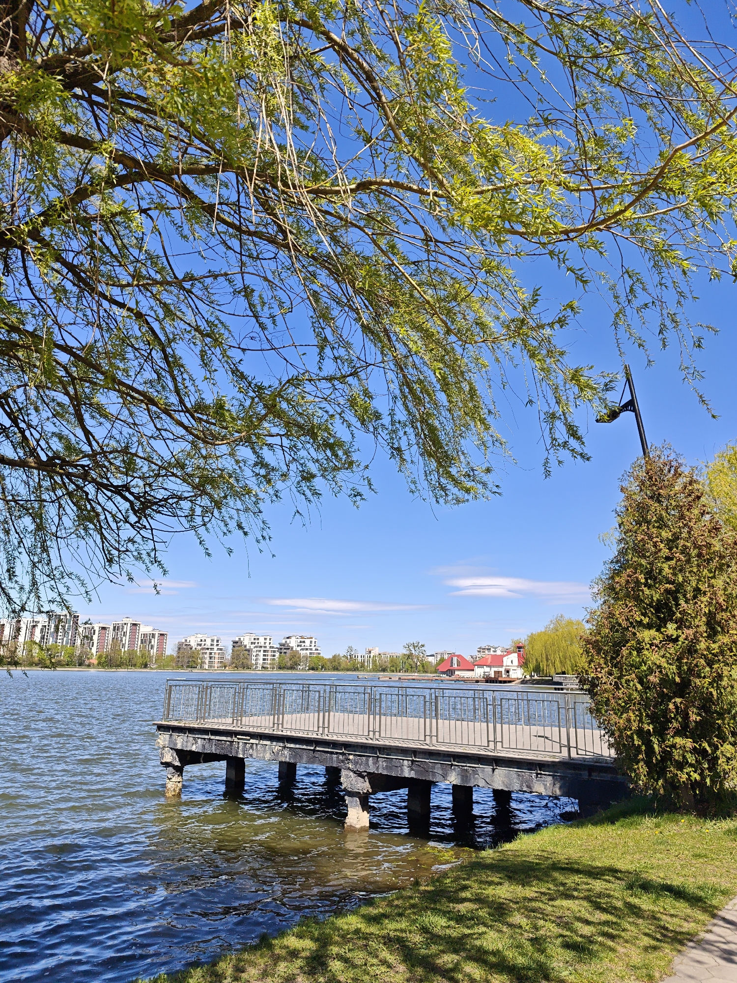 Spring morning at Ivano-Frankivsk lakeside park with coffee and ducks
