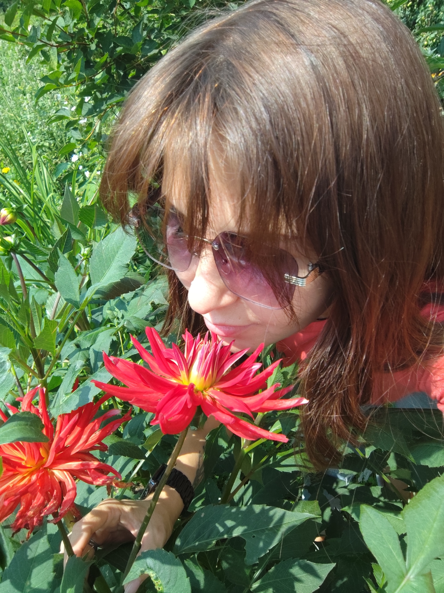 Summer morning among flowers in a Russian garden