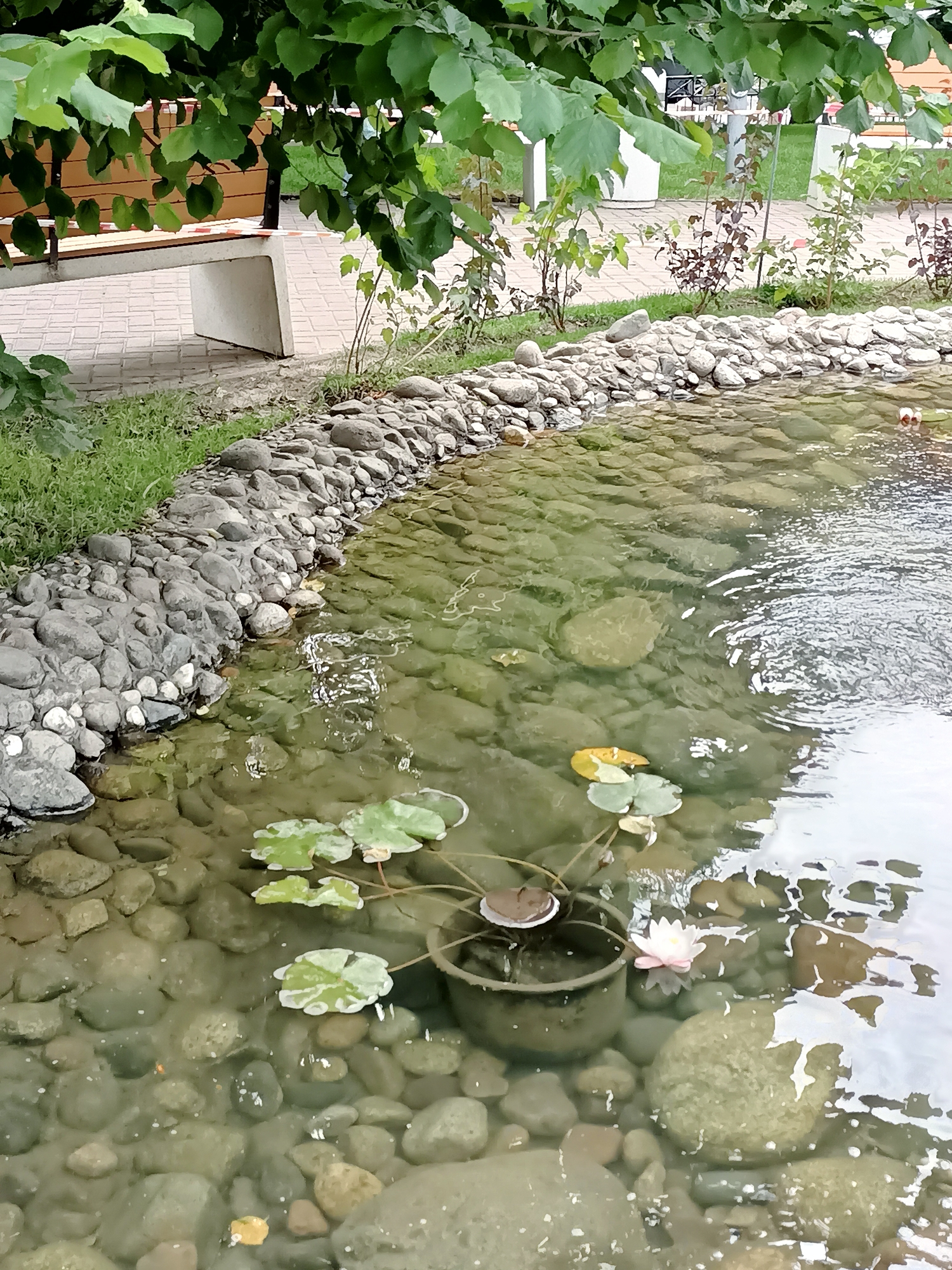 Almaty park with streams, ponds, and footbridges on a summer morning