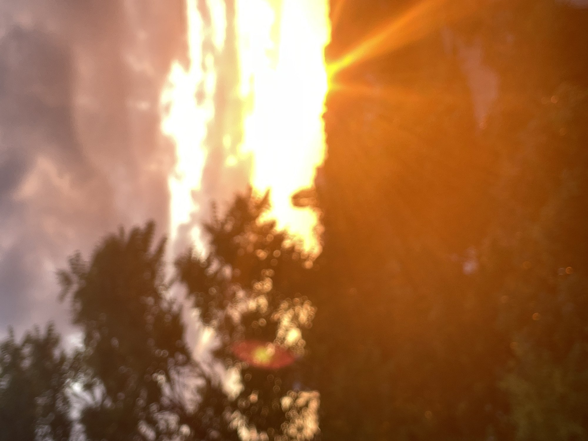 Sofia residents witness golden hour aircraft and urban sunset scenes