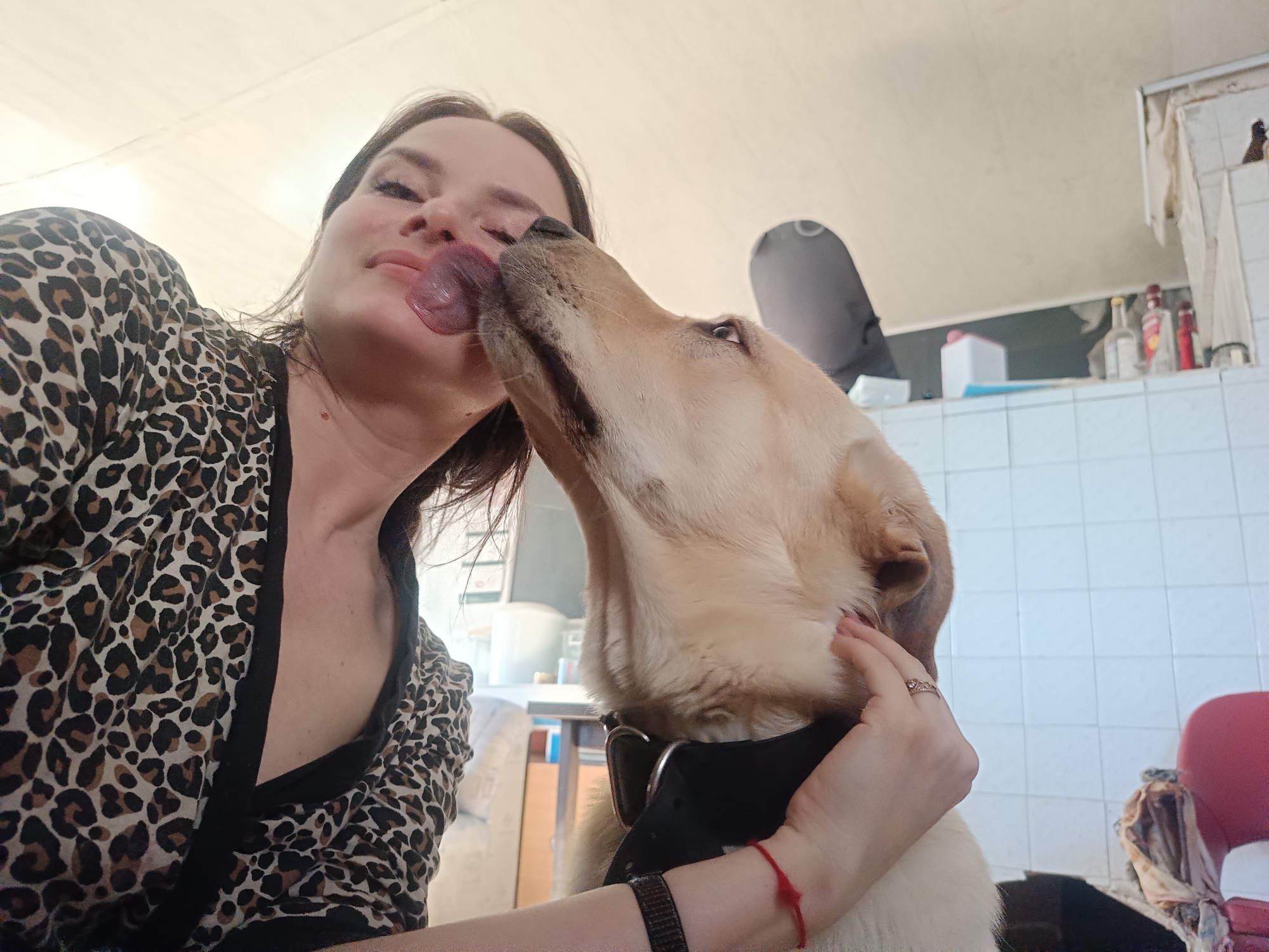 Pet moments documented across Rusalevka homes Sunday afternoon