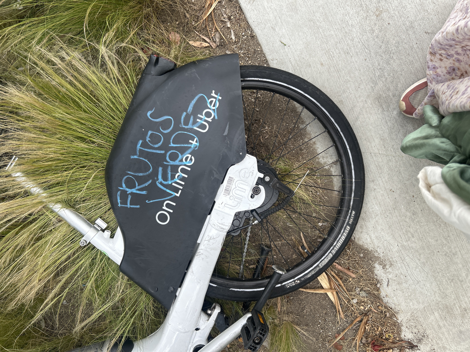 Vandalized shared bike found graffitied in Los Angeles