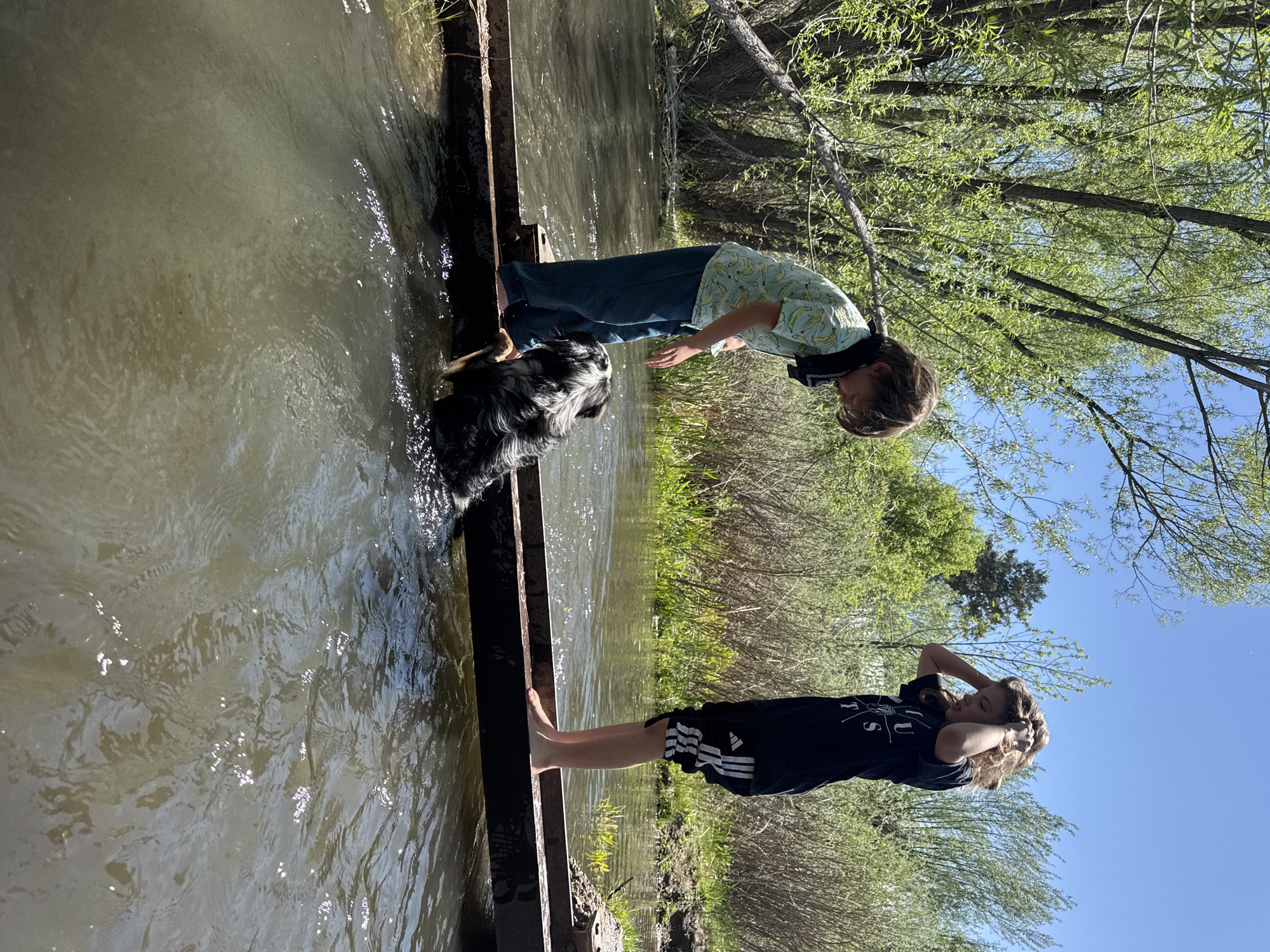 People and dog enjoy afternoon creek visit in Boulder