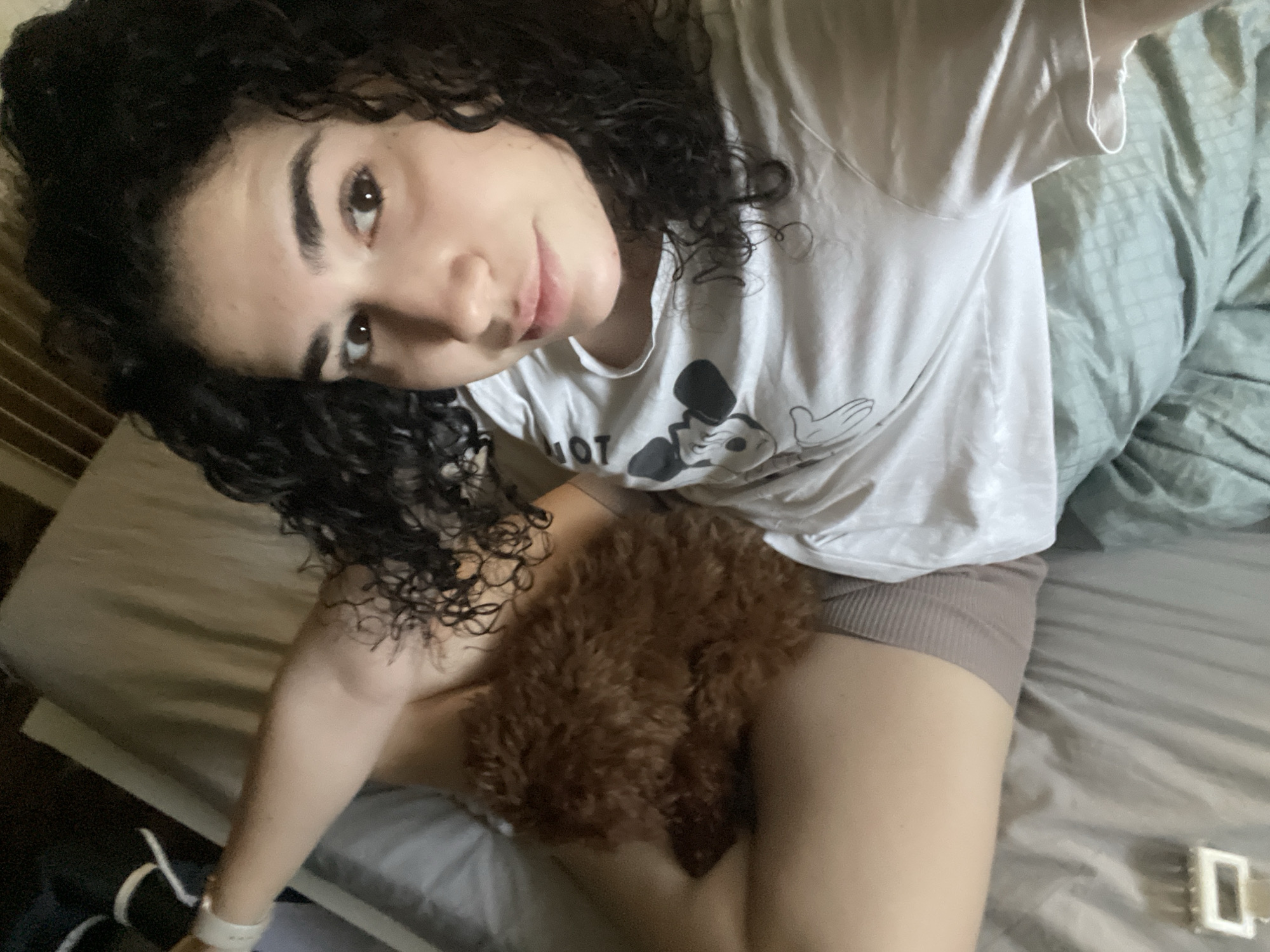Morning moments: Woman, poodle, and car wash in Sofia