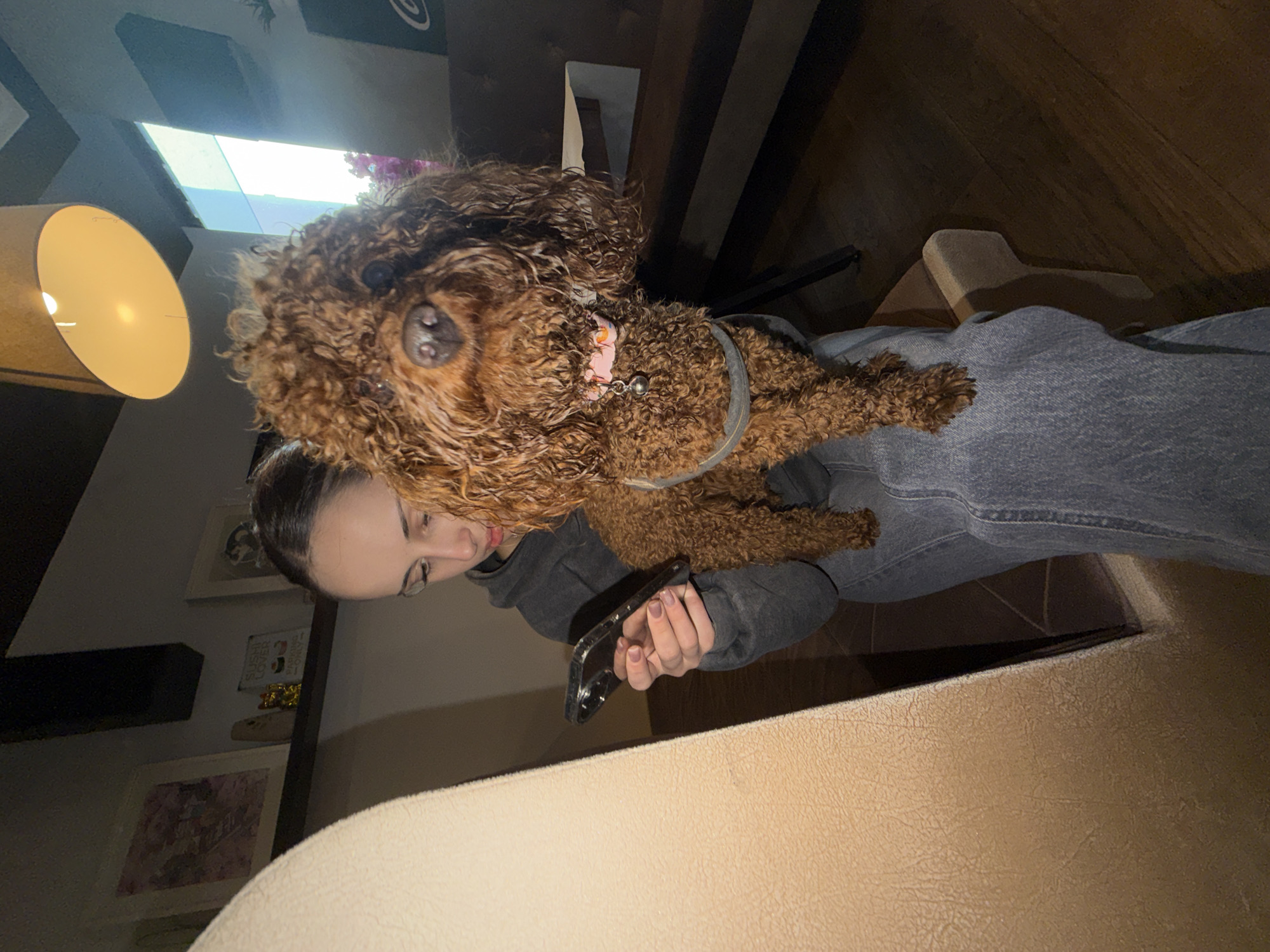 Woman spends afternoon with brown poodle in Sofia apartment