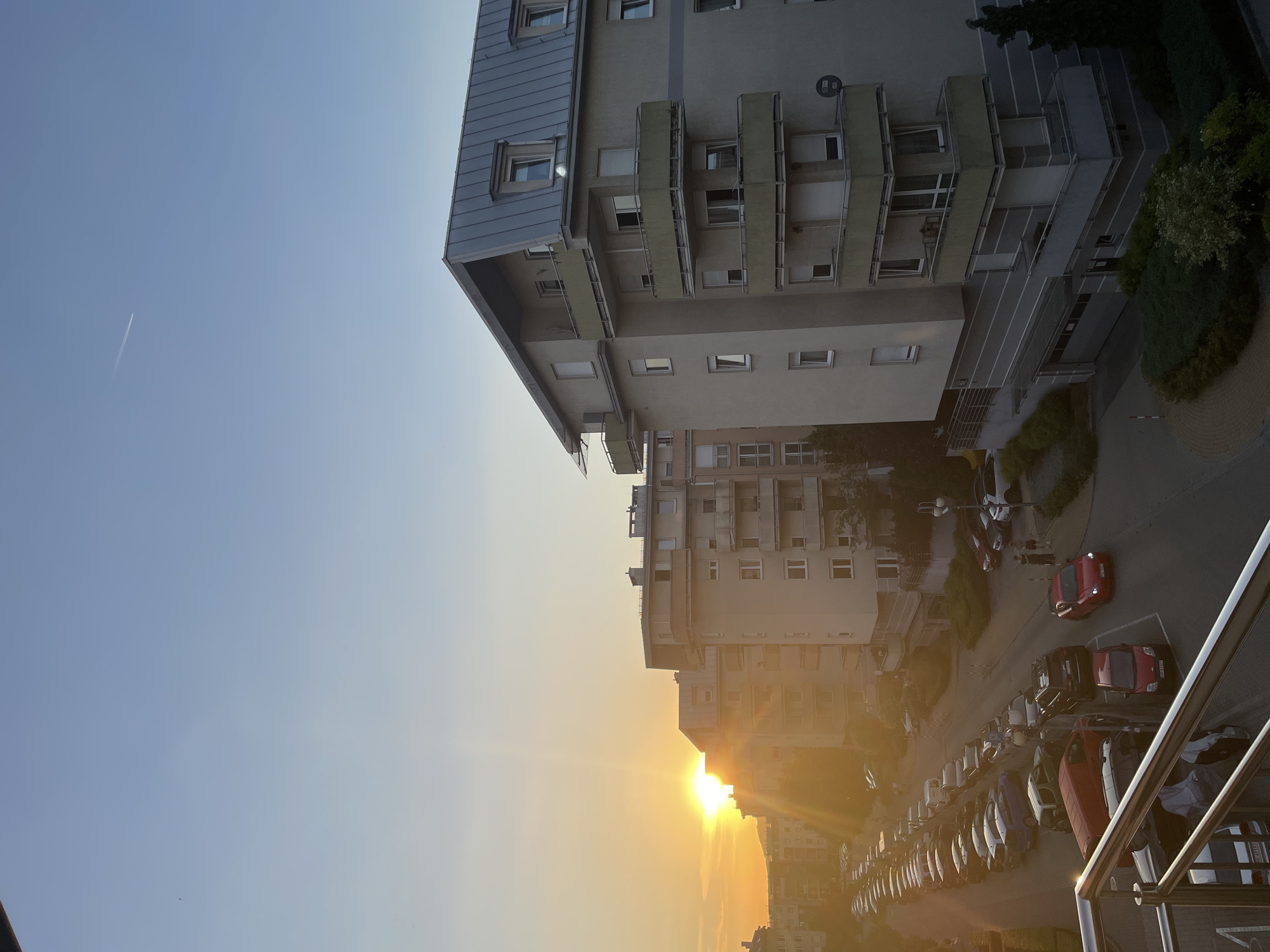 Golden hour across a city neighborhood, with nature details mixed in