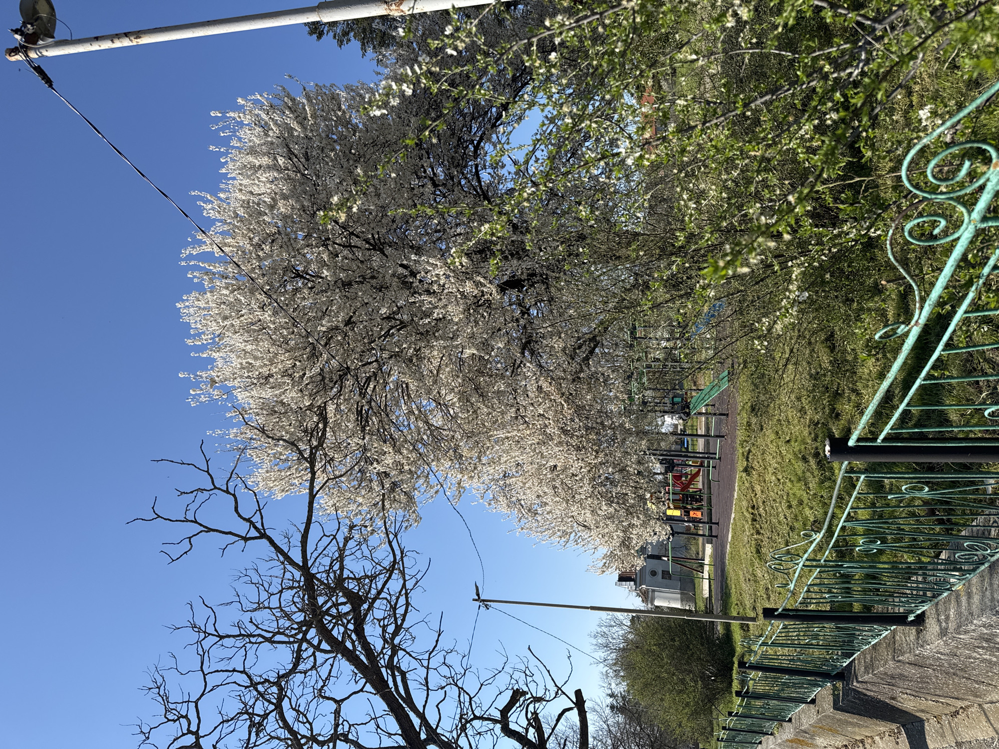 Spring morning playground scene documented in Konstantinovo, Bulgaria