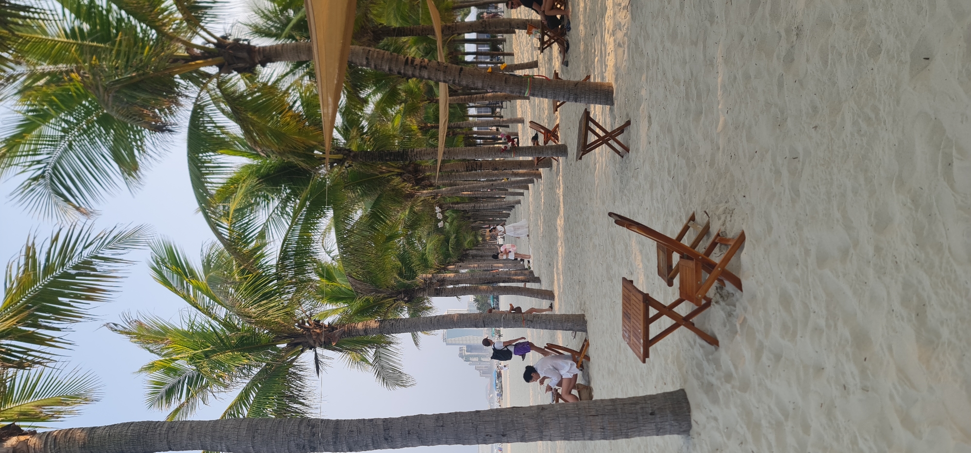 Morning beach life documented along Đà Nẵng's palm-lined coastline