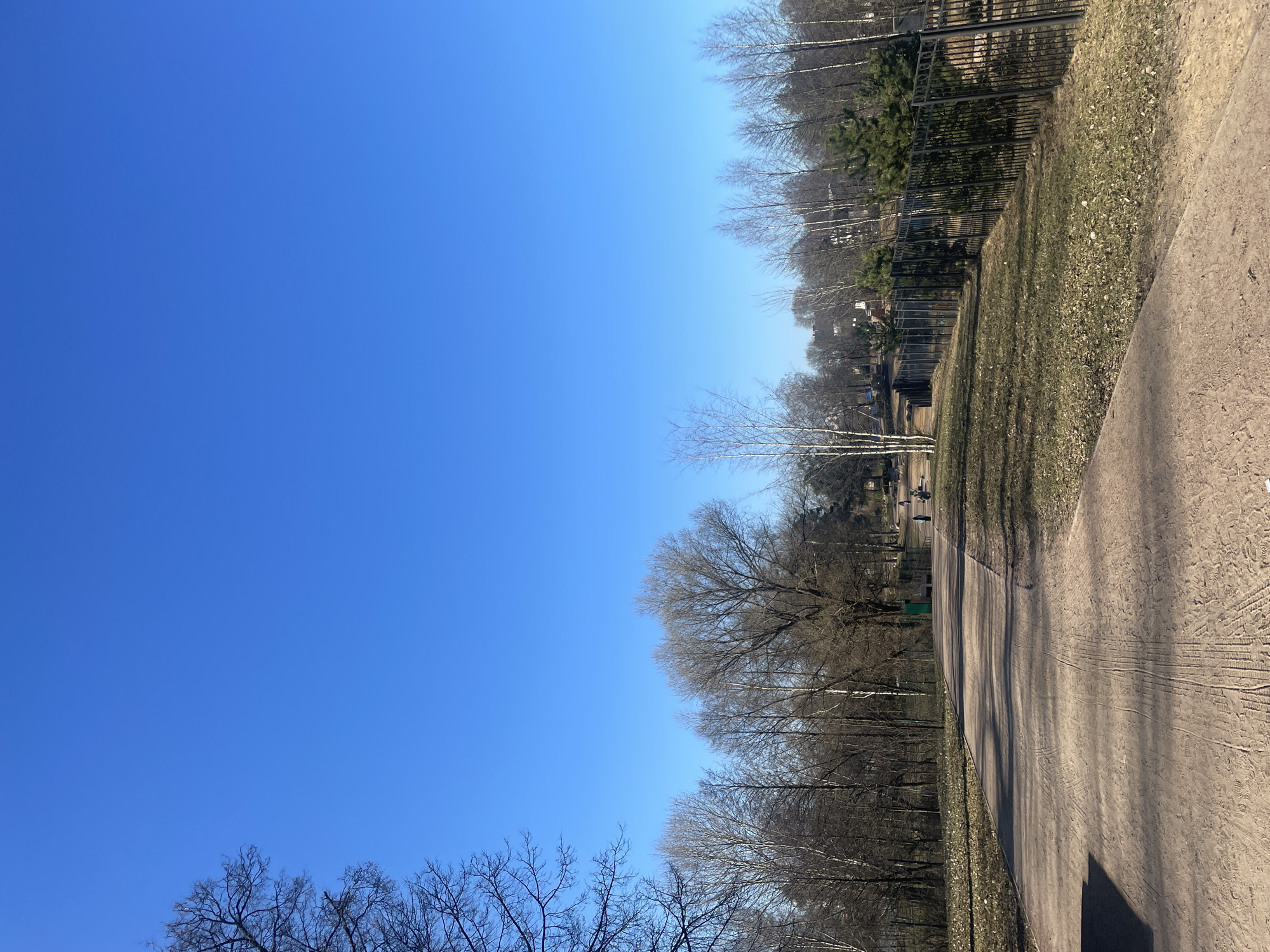 Morning park scenes captured in Saint Petersburg