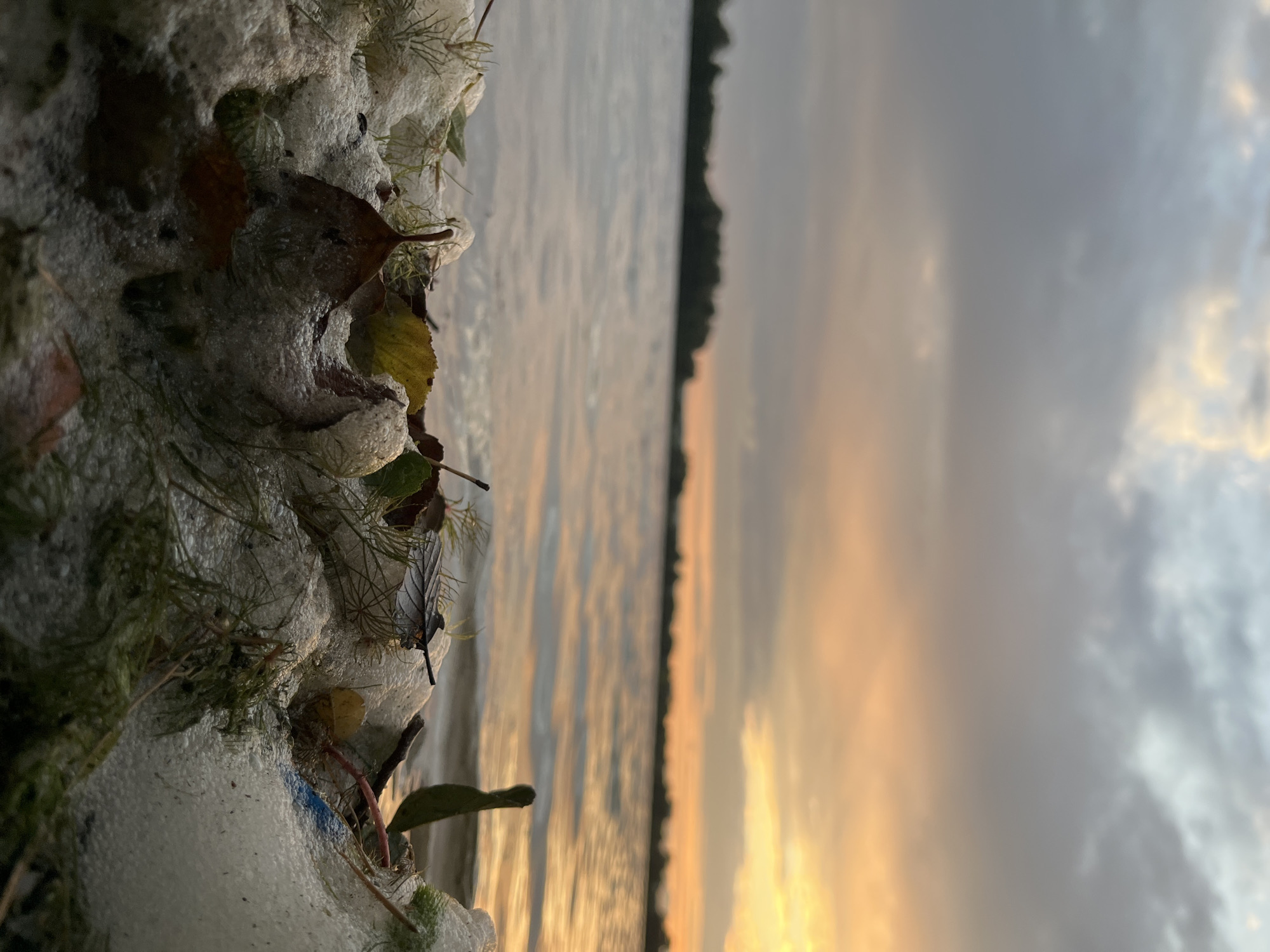 Sunset stroll at a muddy lakeside spot in Bezliudivka
