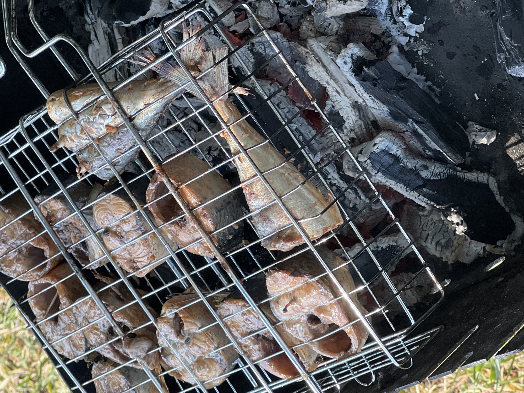 Summer day at a Belarus lakeside — grilling fish, wildflowers, beach