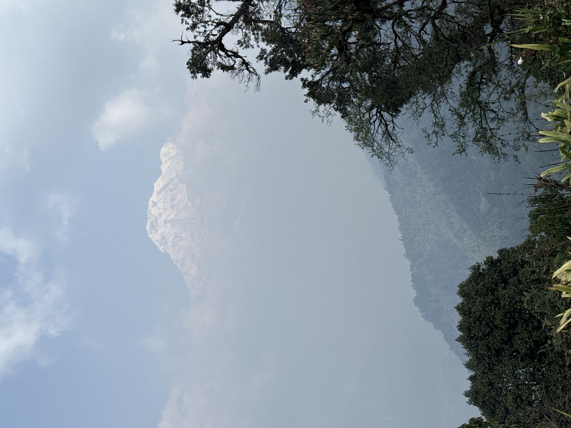 Mountain mist and forest canopy observed in Nepal