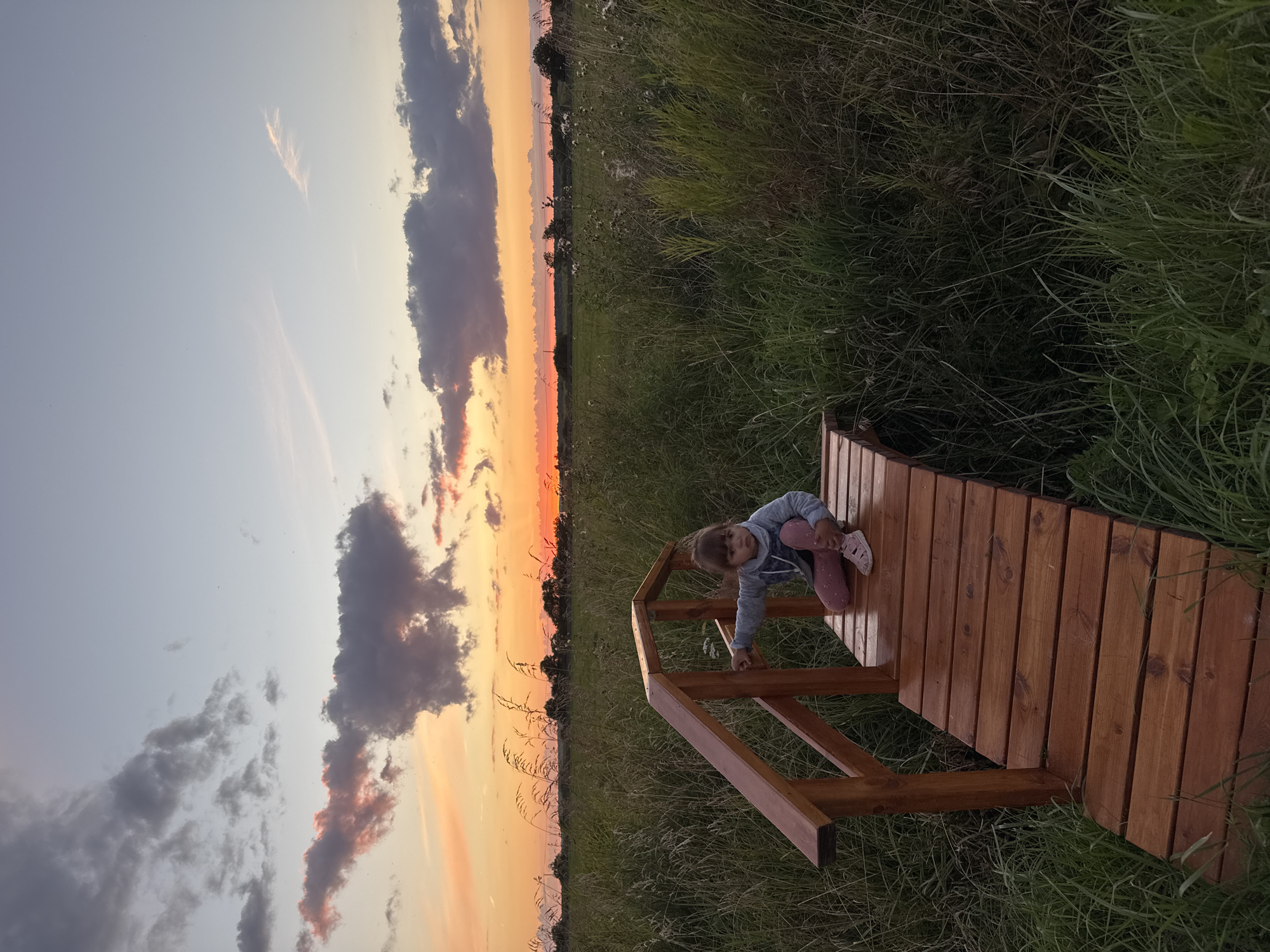 Kid, dogs, and a footbridge at dusk in Kempelevo