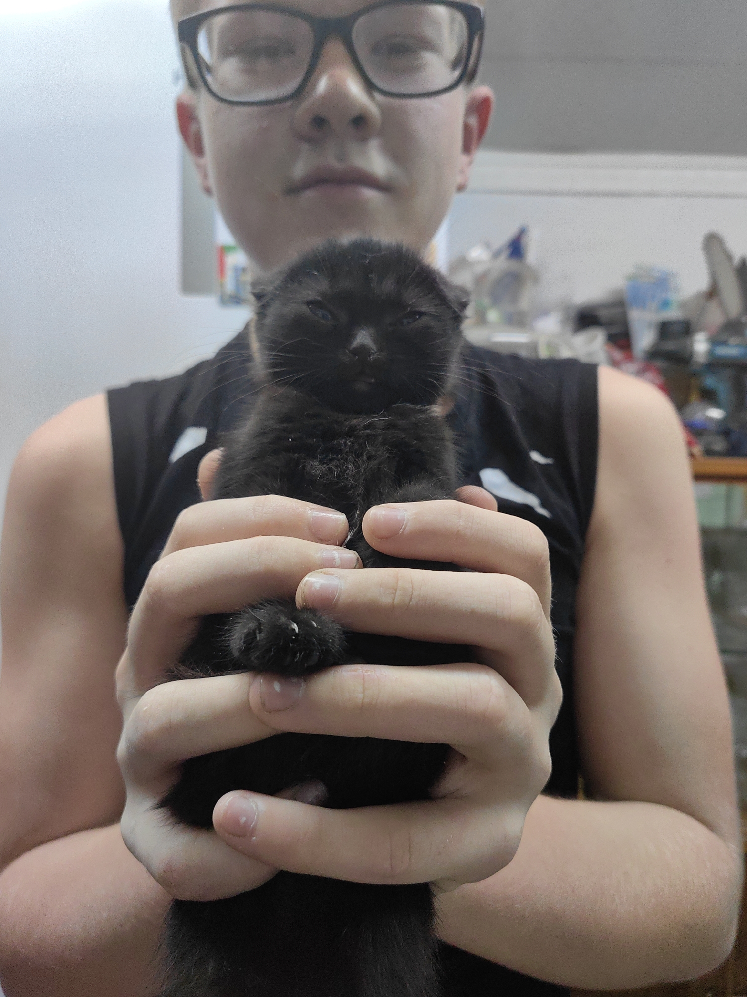 Close-up portraits with a tiny black kitten in the mix