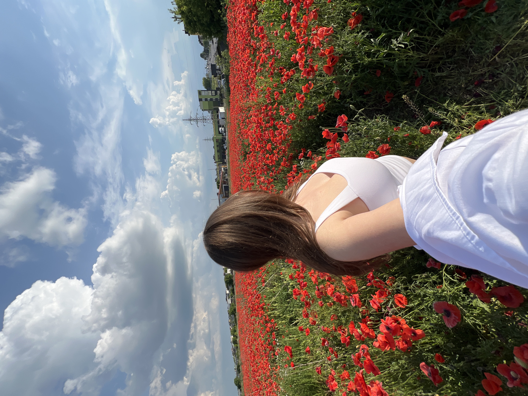 Woman photographed in blooming poppy field near Ternopil, Ukraine
