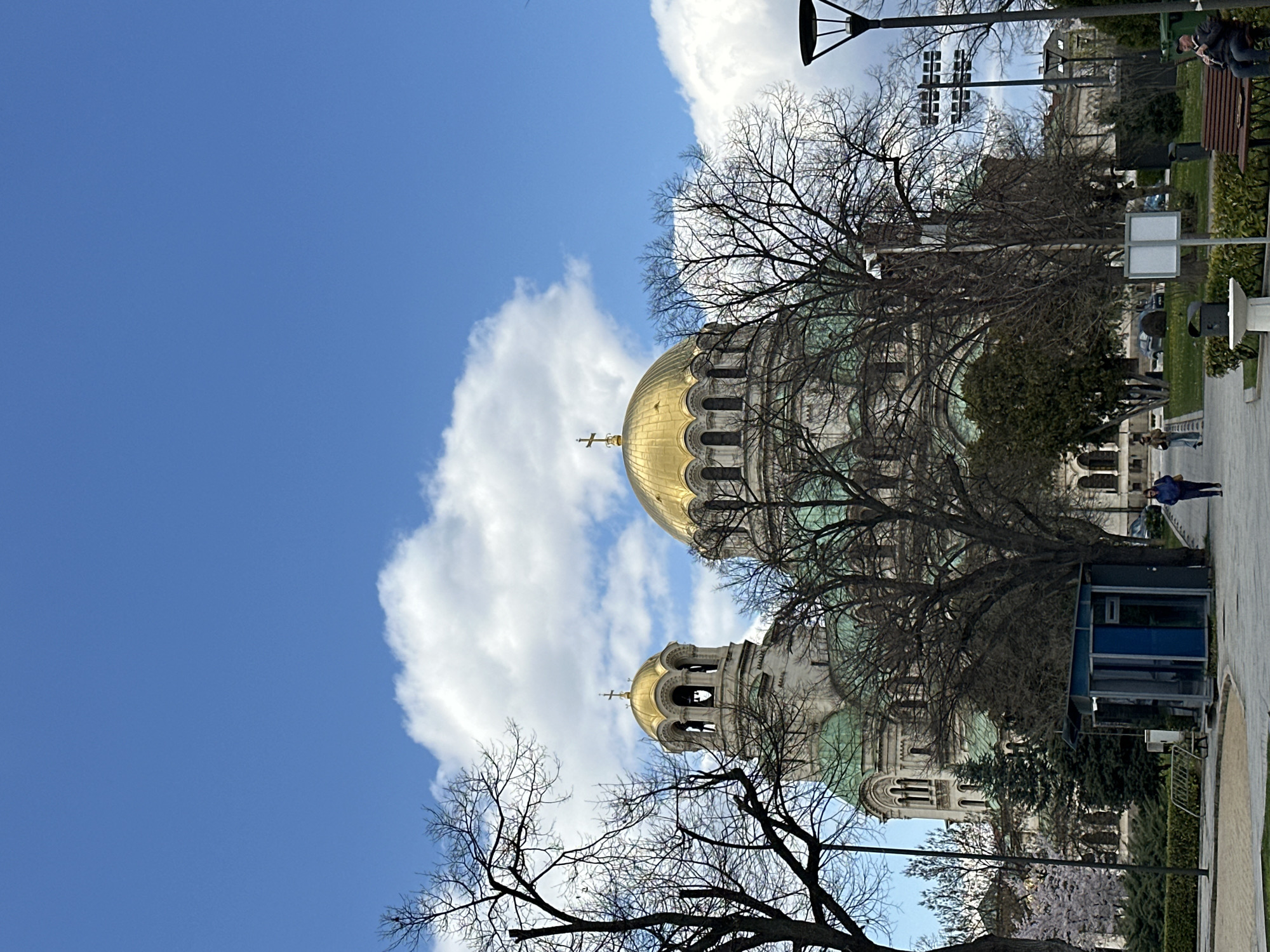 White Ferris wheel spotted amid spring blooms in Sofia