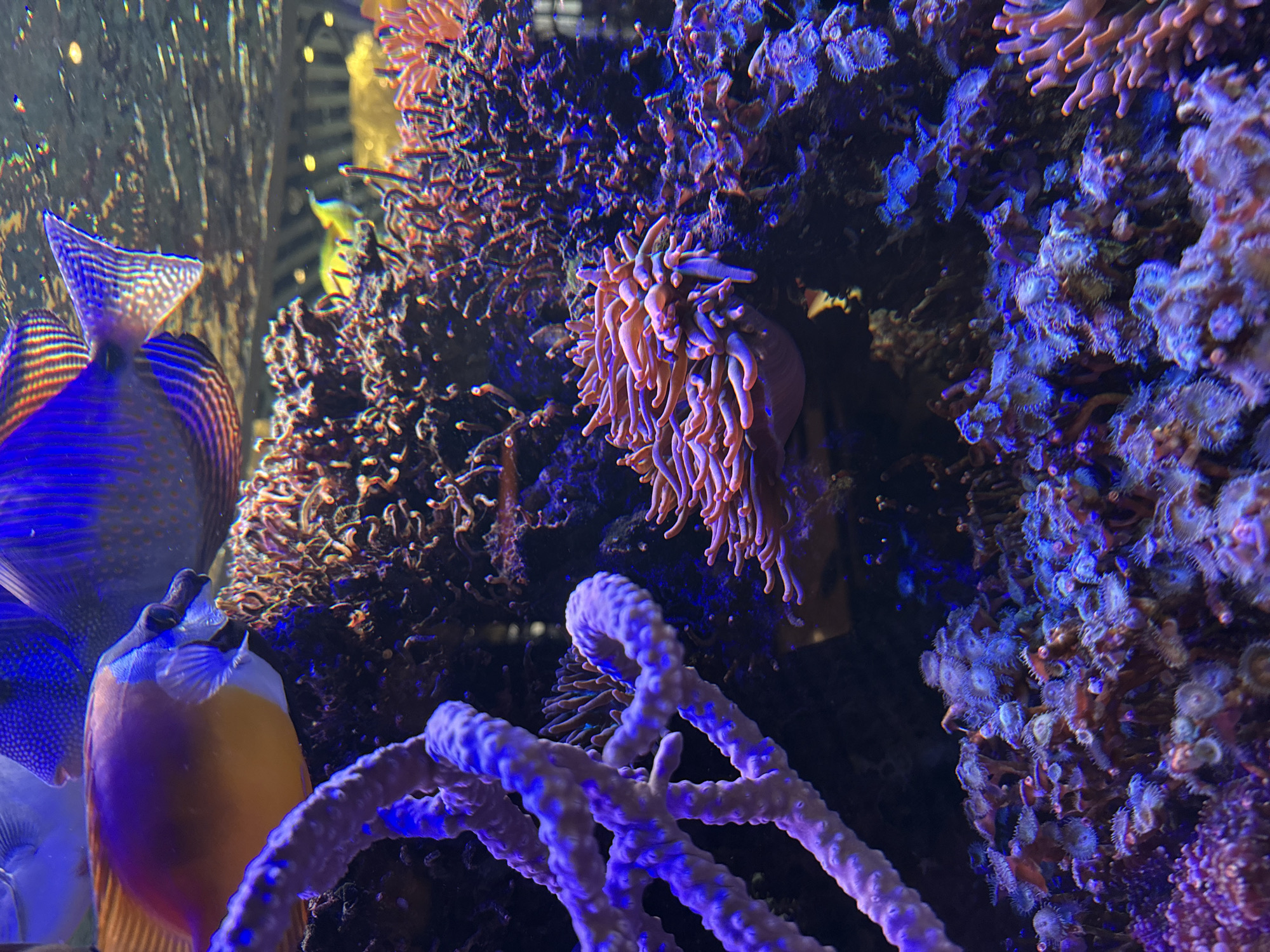 Marine life exhibit documented at Plovdiv Zoo Aquarium