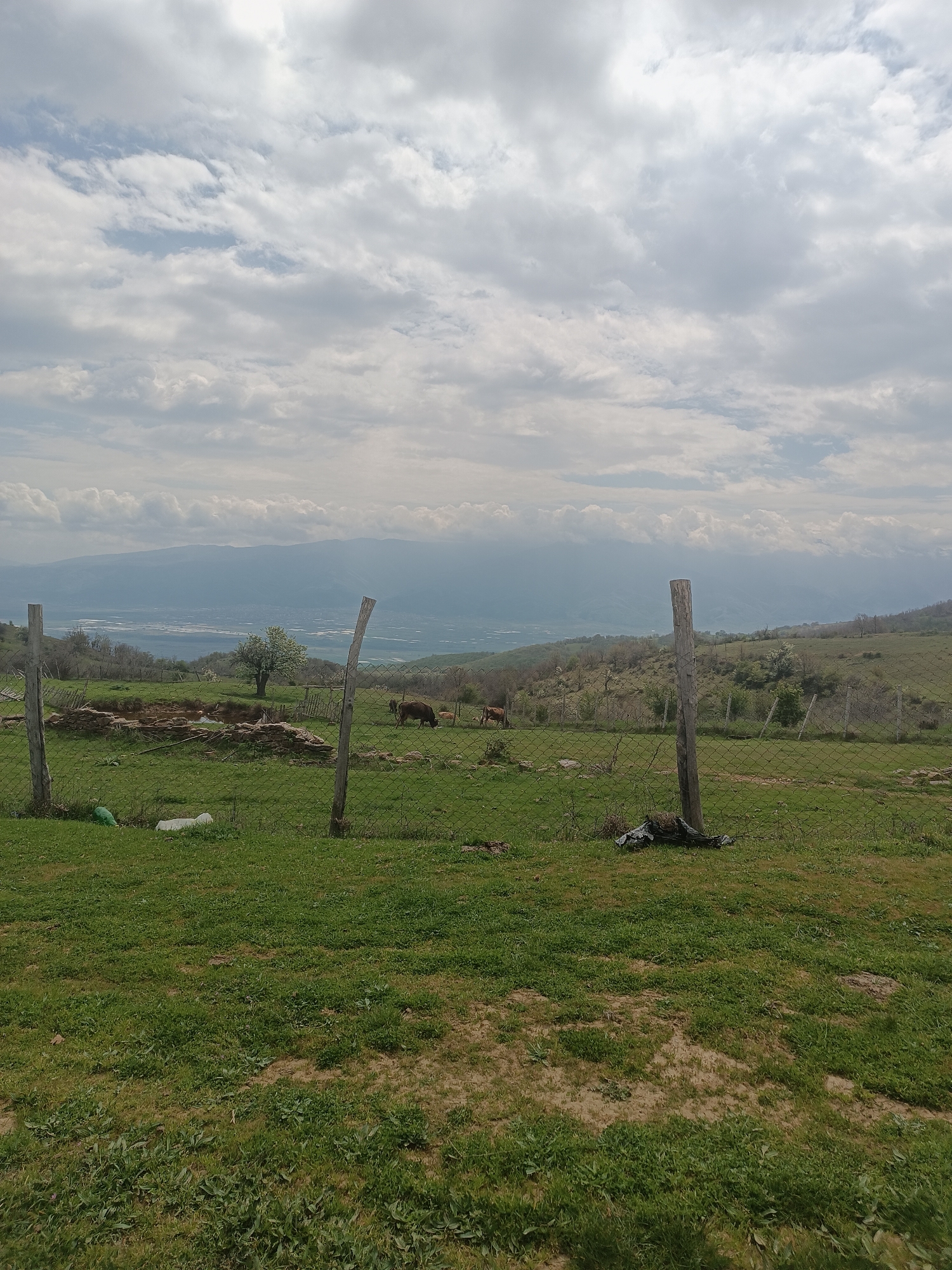 Rural landscape documented near Gyurgevo, Bulgaria
