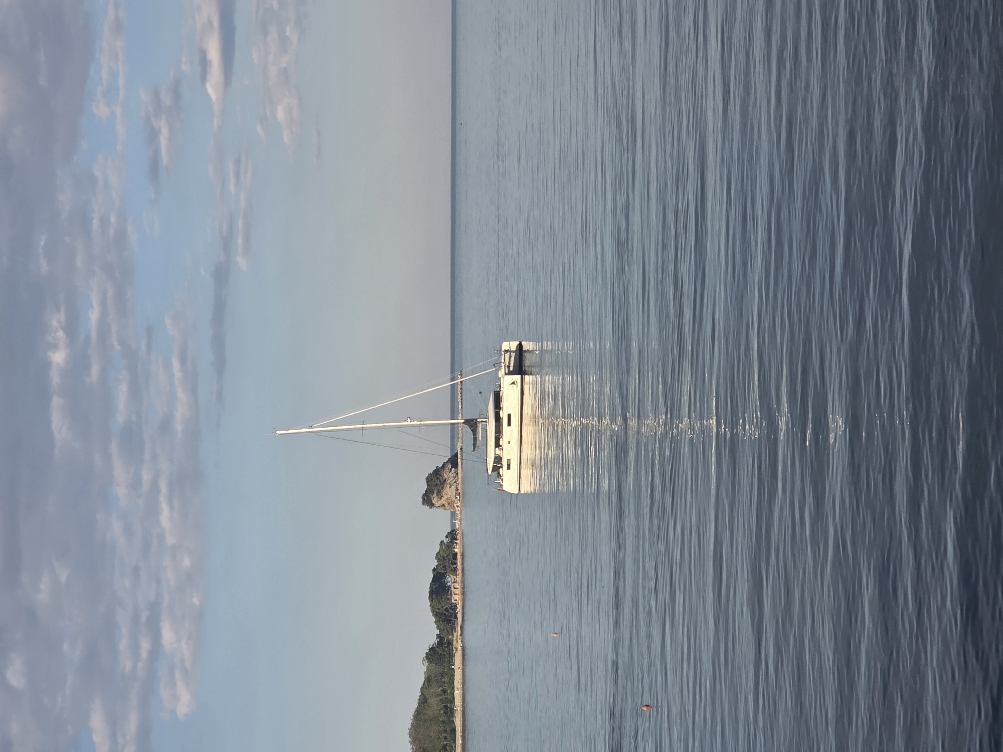 Catamaran anchored off Budva, curious calico kitten nearby
