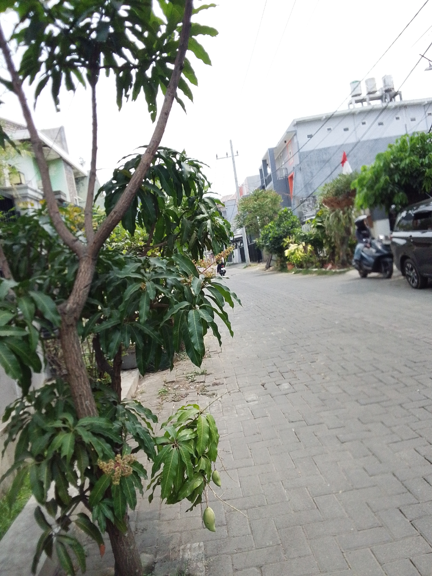 Event