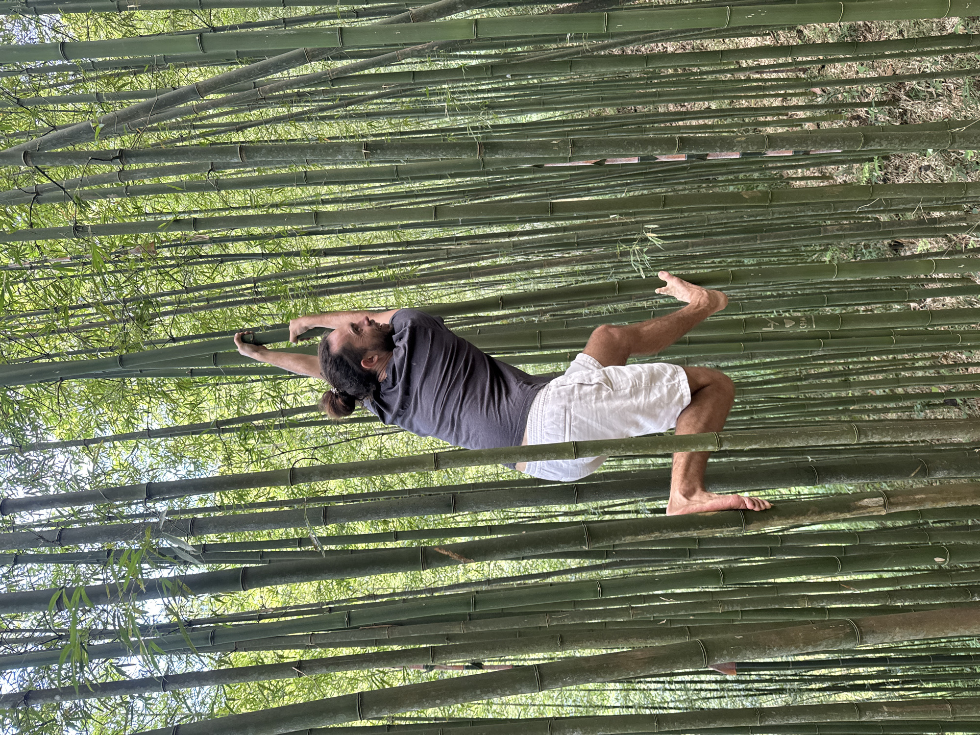 Tourists photograph bamboo forest experience in Púng Luông Vietnam