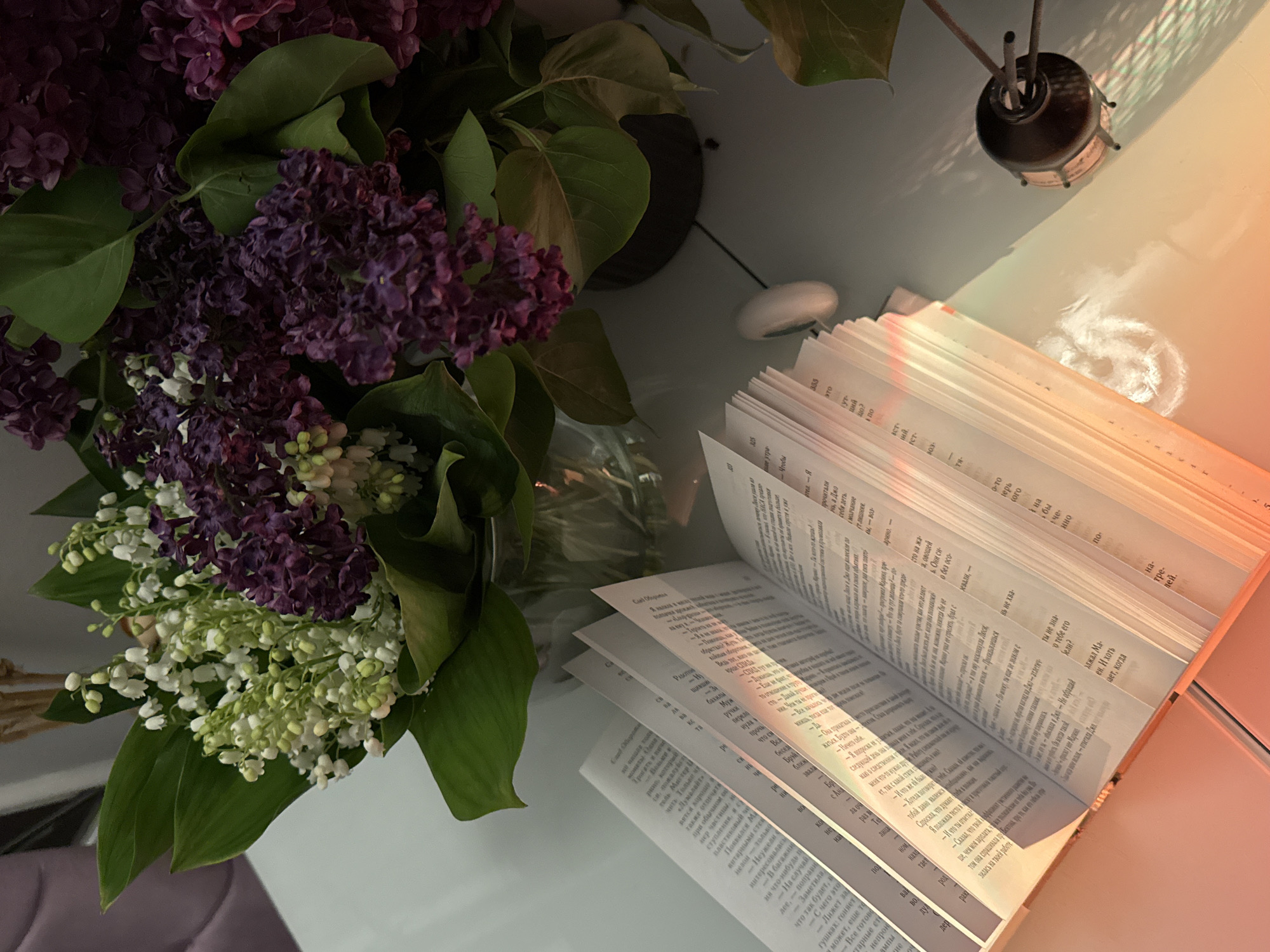 Indoor floral display and atmospheric lighting captured in personal space