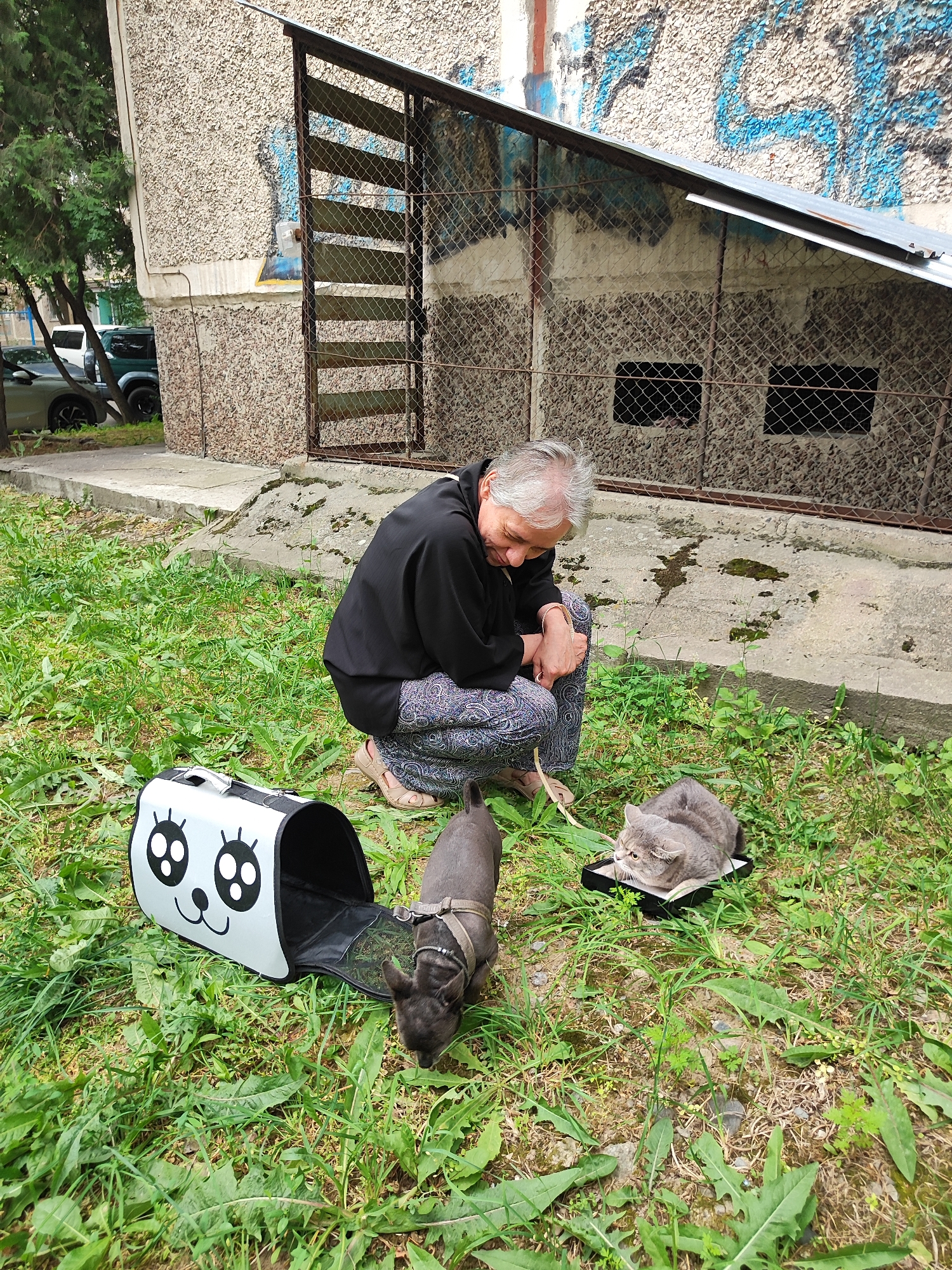 A quiet June morning across Almaty's streets and courtyards