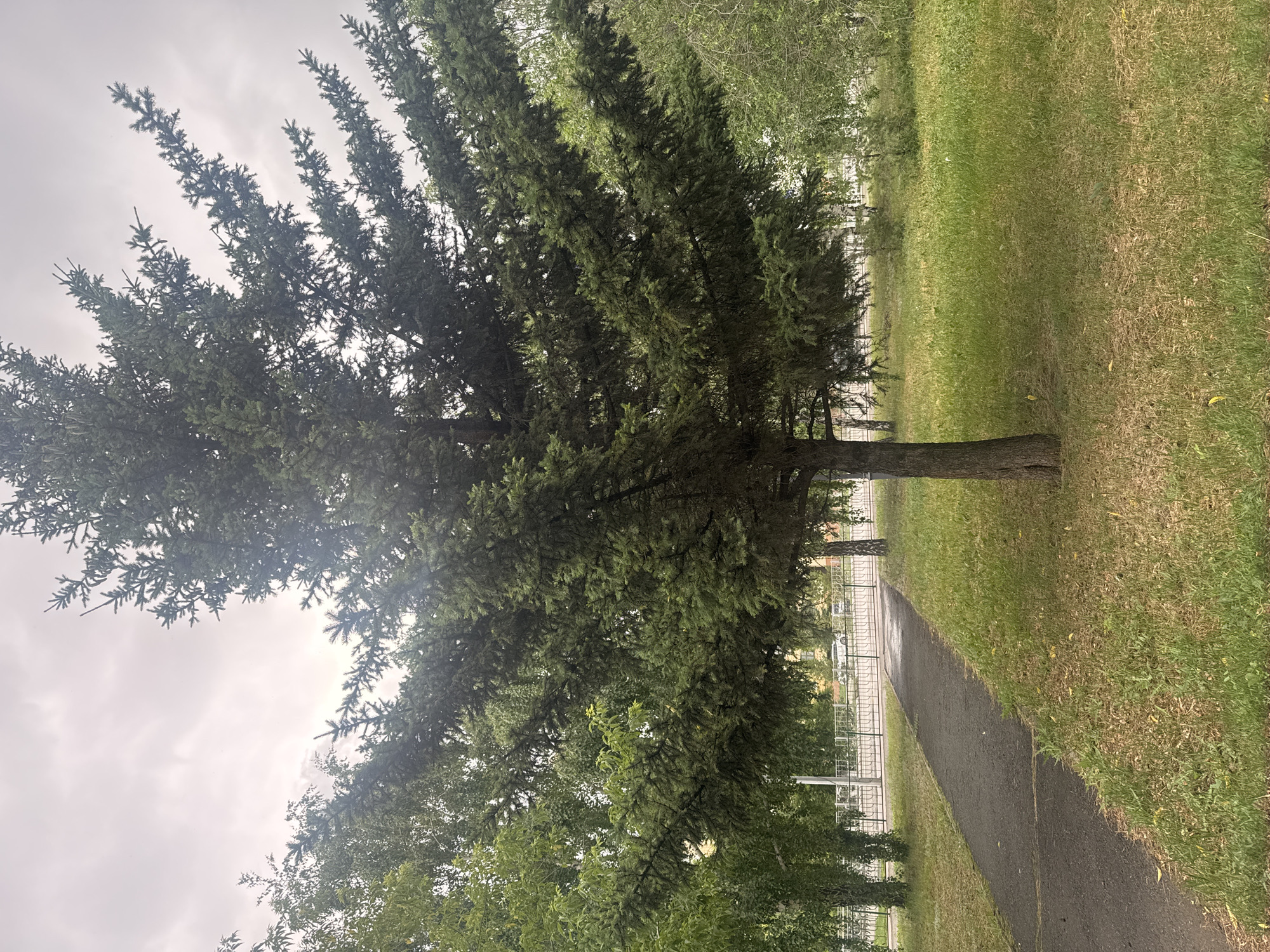 Morning walk through Kokshetau parks and mosque documented