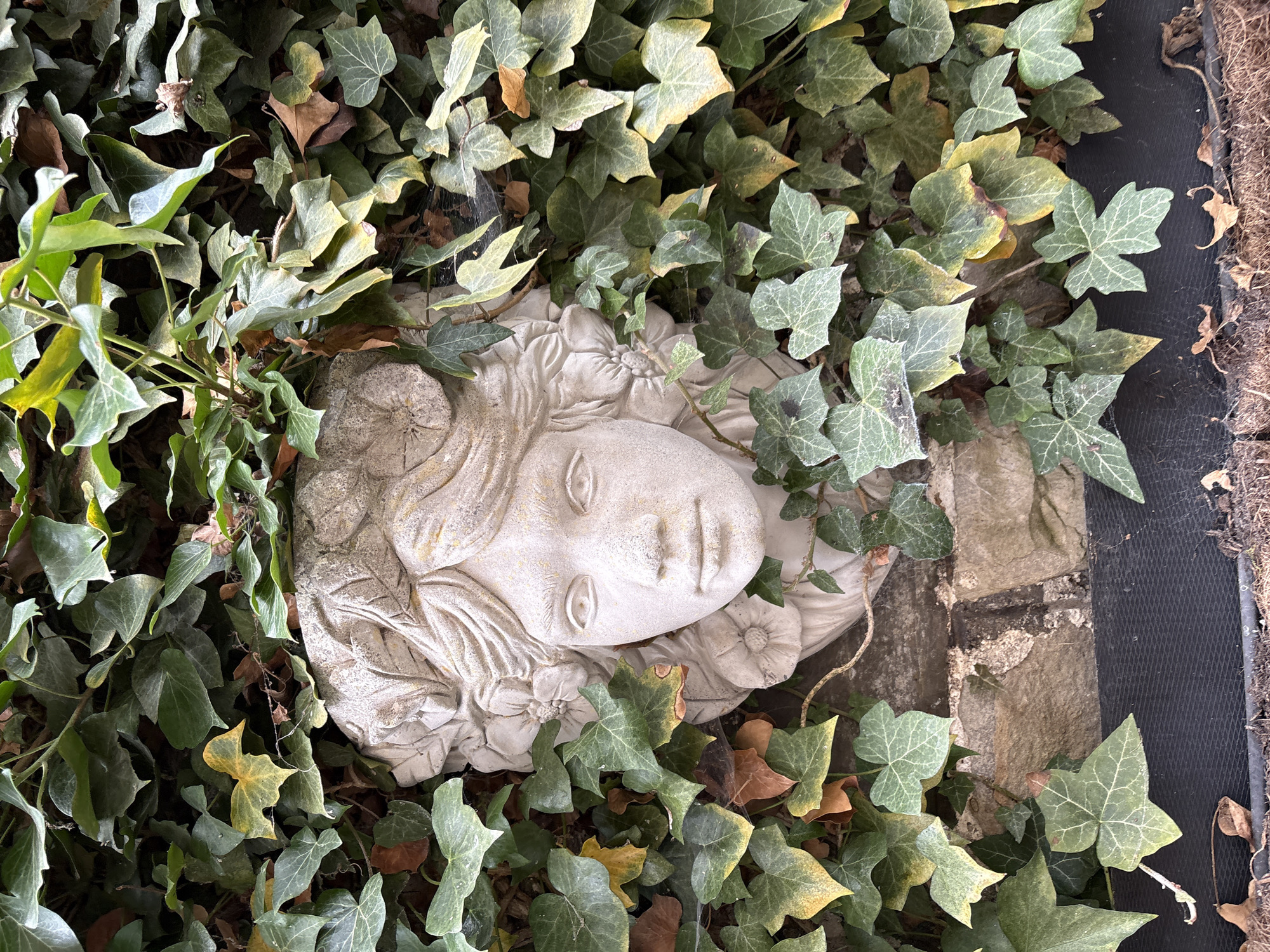 Garden Documentation Captured in Minsterley Village